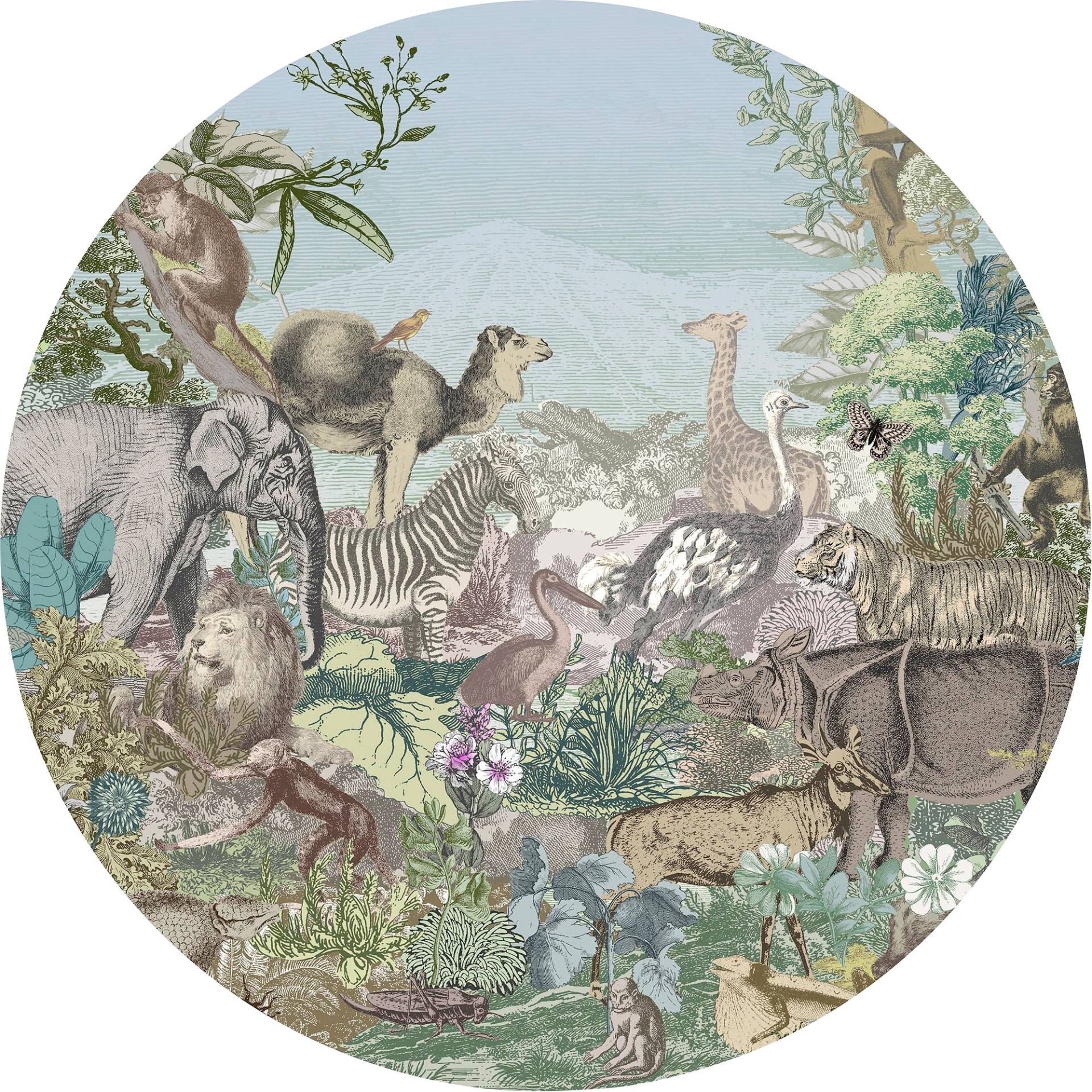 Komar Fototapete »Vlies selbstklebend - Animal Kingdom - Grösse 125 x 125 cm«, bedruckt, Wohnzimmer, Schlafzimmer Komar Fototapete »Vlies selbstklebend - Animal Kingdom - Grösse 125 x 125 cm«, bedruckt, Wohnzimmer, Schlafzimmer von Komar