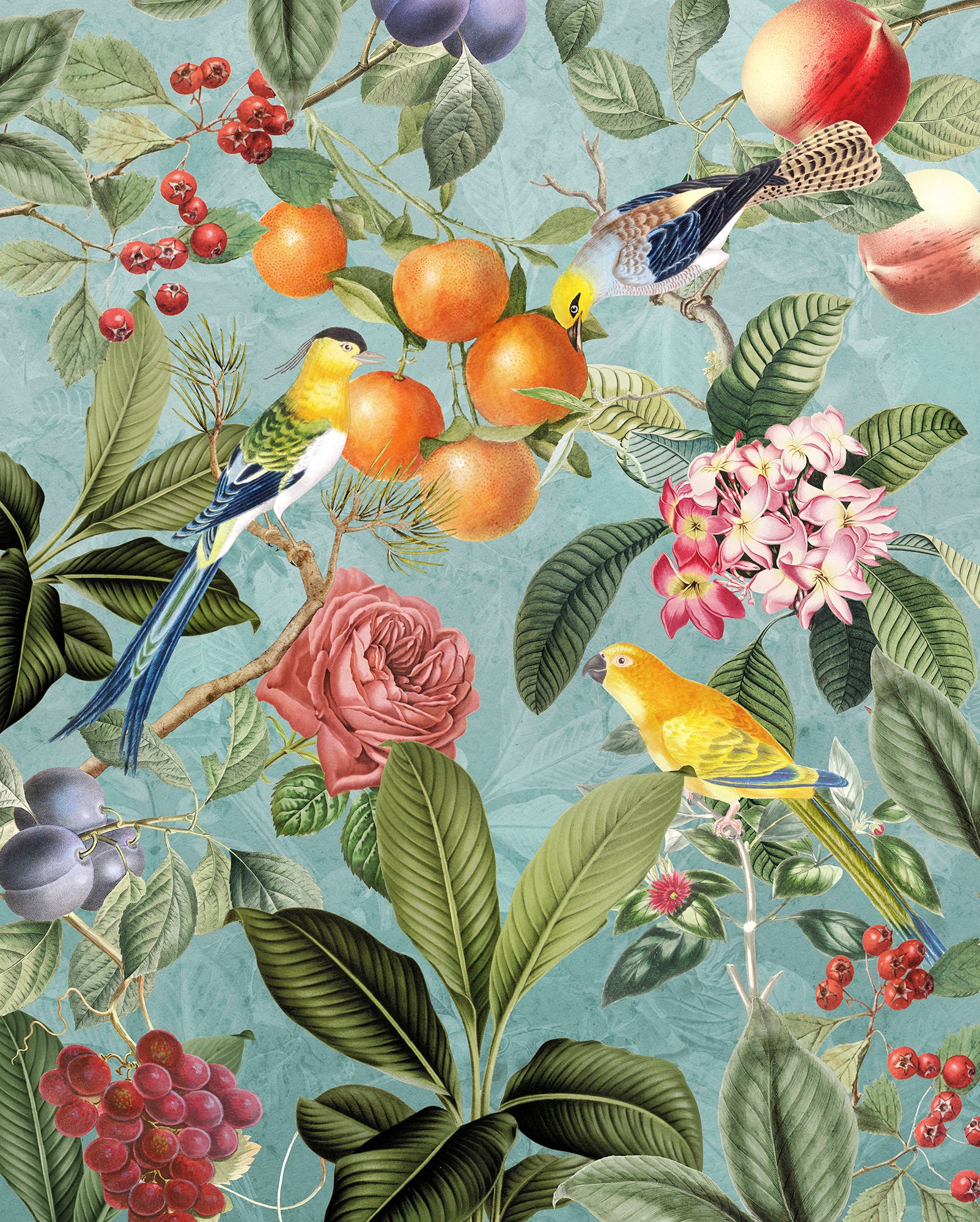 Komar Vliestapete »Digitaldruck Vlies - Birds and Berries - Grösse 200 x 250 cm«, bedruckt, Wohnzimmer, Schlafzimmer von Komar