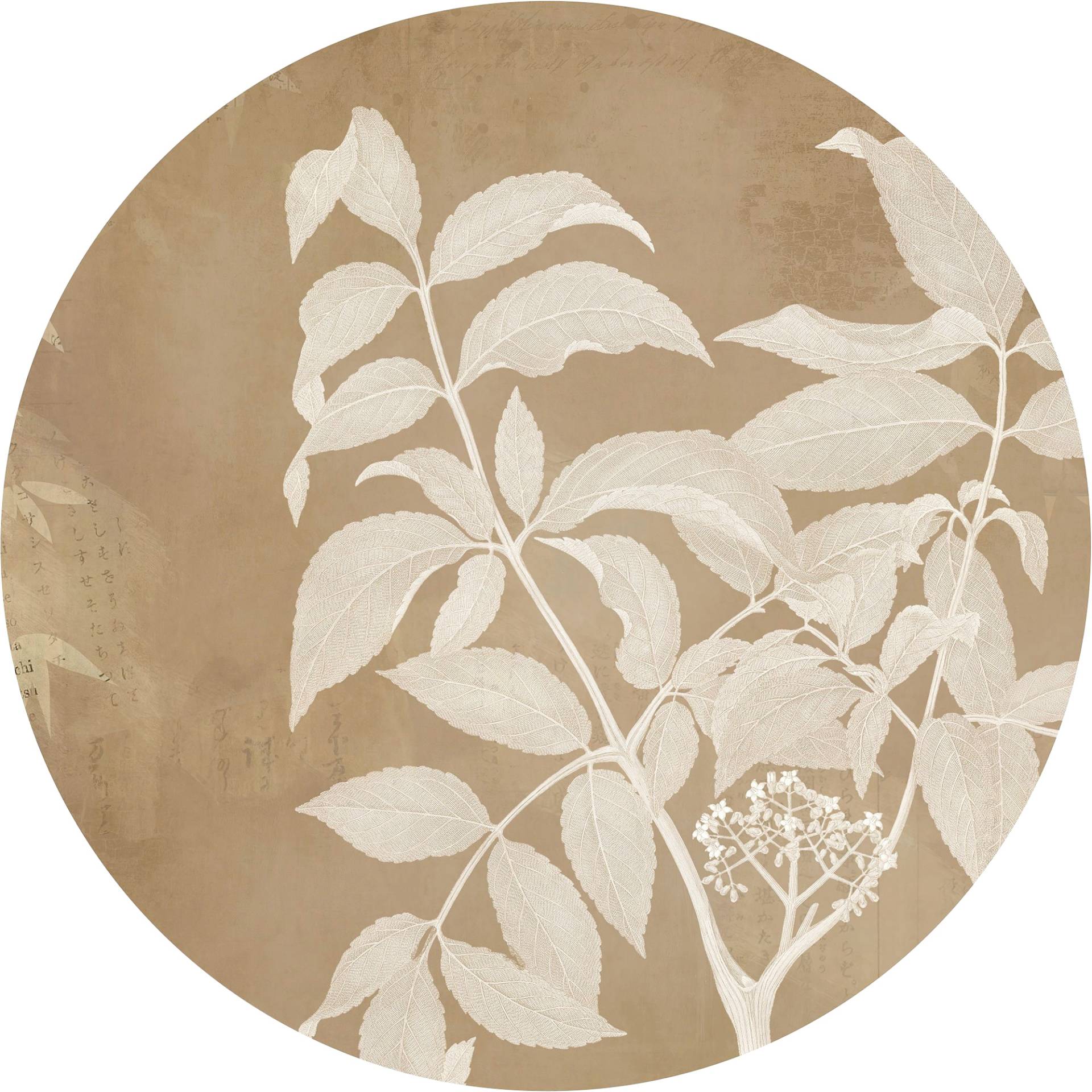 Komar Fototapete »Vlies selbstklebend - Blooming Branch - Grösse 125 x 125 cm«, bedruckt, Wohnzimmer, Schlafzimmer Komar Fototapete »Vlies selbstklebend - Blooming Branch - Grösse 125 x 125 cm«, bedruckt, Wohnzimmer, Schlafzimmer von Komar