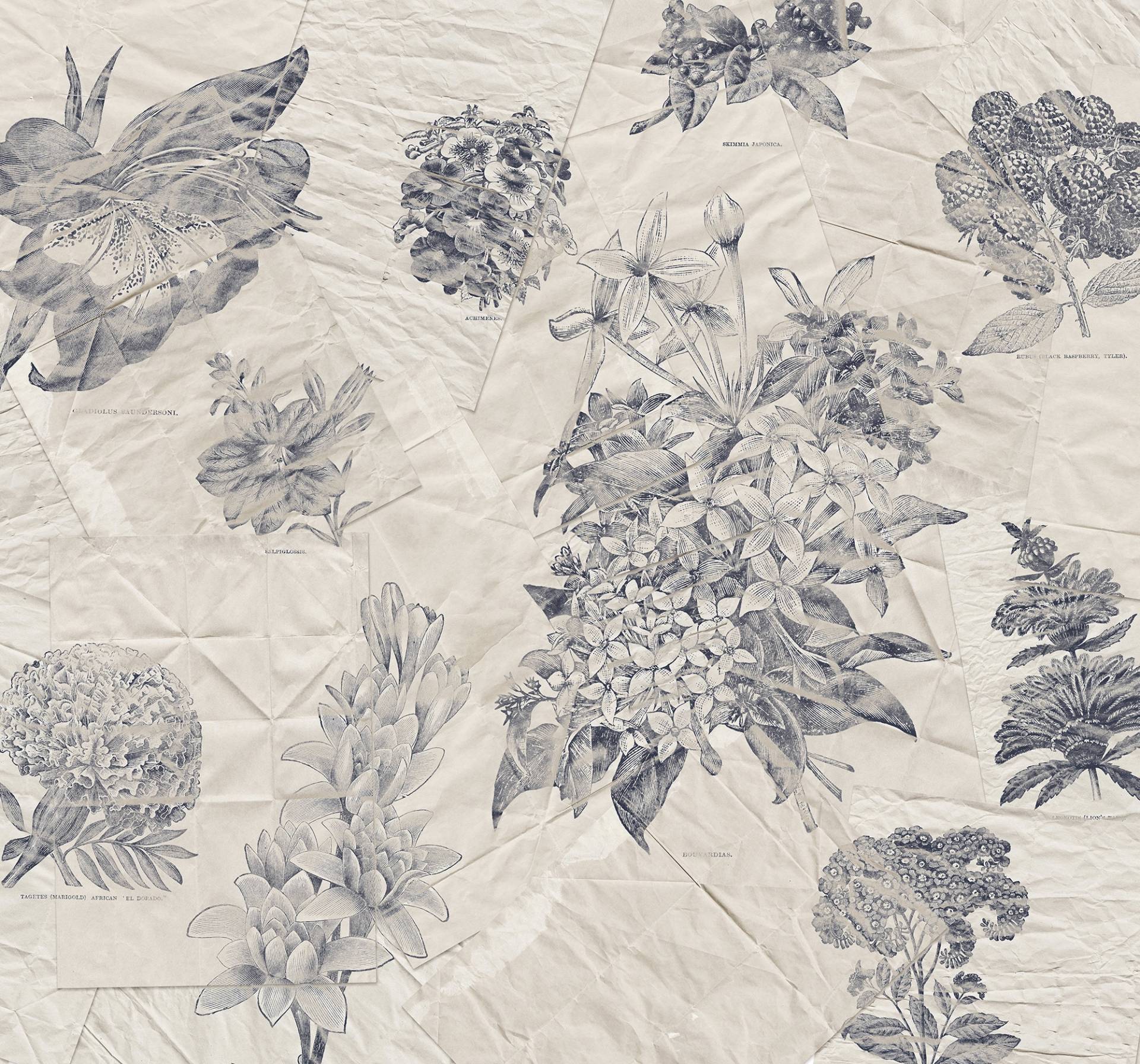Komar Vliestapete »Digitaldruck Vlies - Botanical Papers - Grösse 400 x 280 cm«, bedruckt, Wohnzimmer, Schlafzimmer Komar Vliestapete »Digitaldruck Vlies - Botanical Papers - Grösse 400 x 280 cm«, bedruckt, Wohnzimmer, Schlafzimmer von Komar