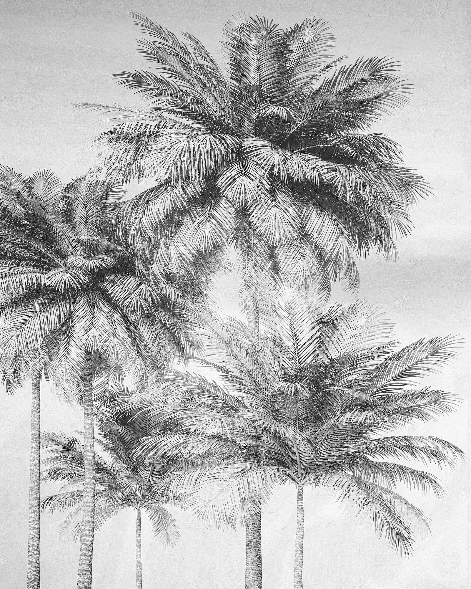 Komar Vliestapete »Digitaldruck Vlies - Cocco - Grösse 200 x 250 cm«, bedruckt, Wohnzimmer, Schlafzimmer Komar Vliestapete »Digitaldruck Vlies - Cocco - Grösse 200 x 250 cm«, bedruckt, Wohnzimmer, Schlafzimmer von Komar