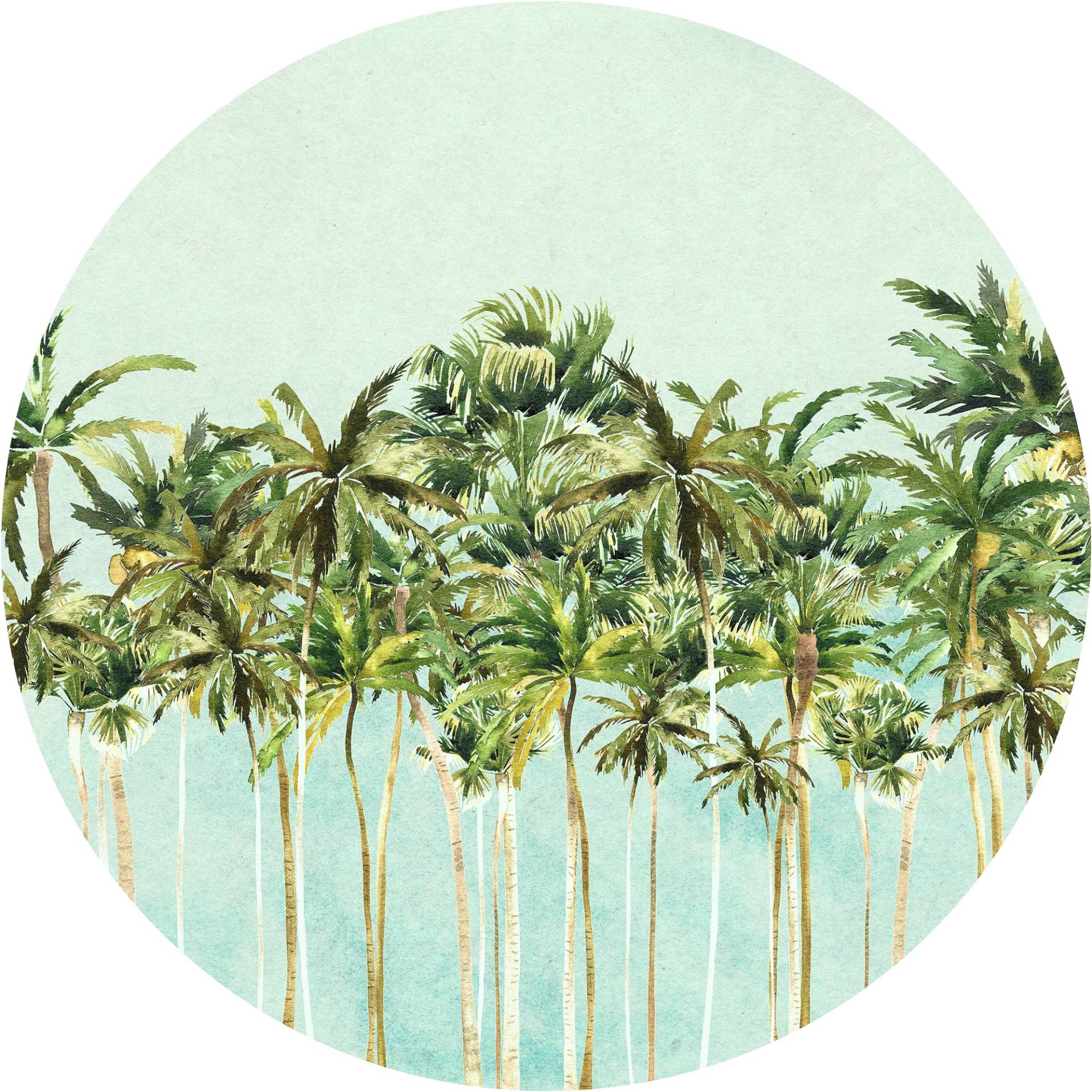 Komar Fototapete »Coconut Trees«, 125x125 cm (Breite x Höhe), rund und selbstklebend von Komar