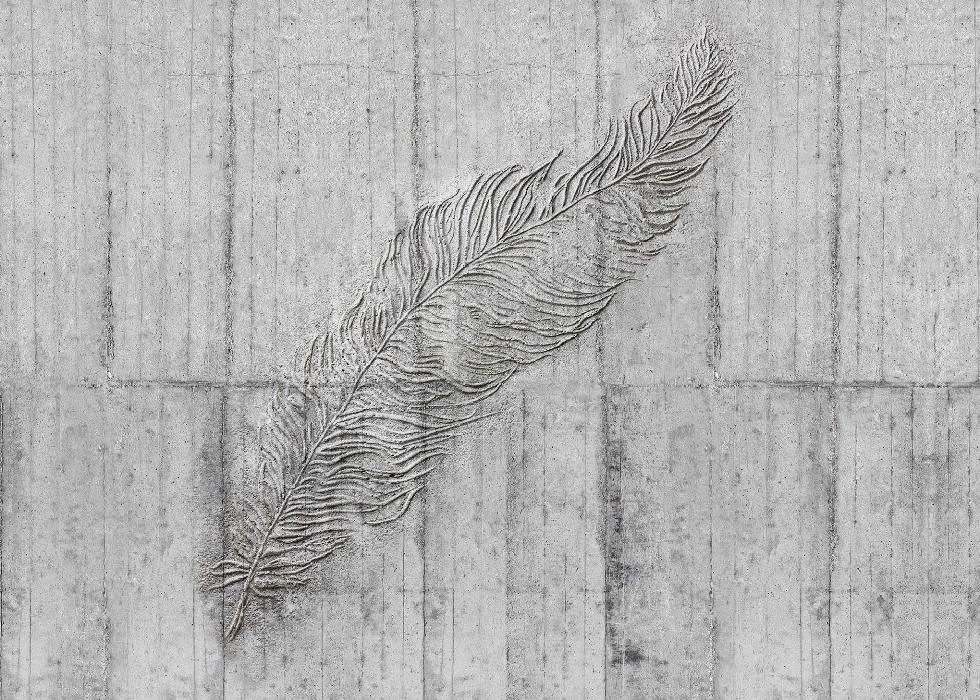 Komar Vliestapete »Digitaldruck Vlies - Concrete Feather - Grösse 350 x 250 cm«, bedruckt, Wohnzimmer, Schlafzimmer Komar Vliestapete »Digitaldruck Vlies - Concrete Feather - Grösse 350 x 250 cm«, bedruckt, Wohnzimmer, Schlafzimmer von Komar