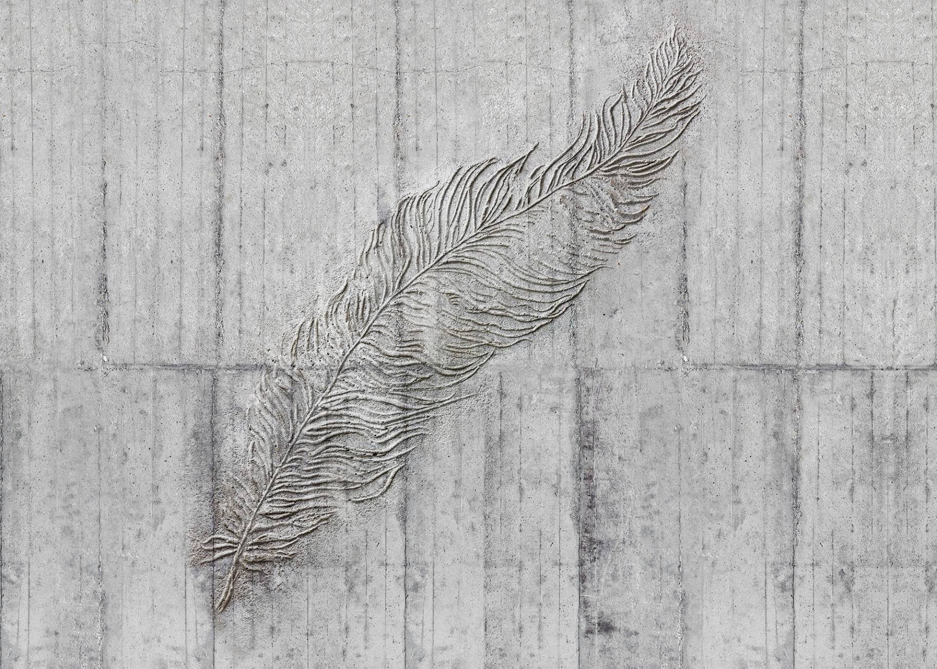 Komar Vliestapete »Concrete Feather«, 350x250 cm (Breite x Höhe) von Komar