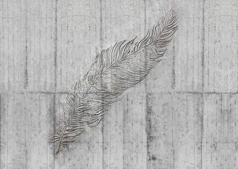 Komar Vliestapete »Digitaldruck Vlies - Concrete Feather - Grösse 350 x 250 cm«, bedruckt, Wohnzimmer, Schlafzimmer von Komar