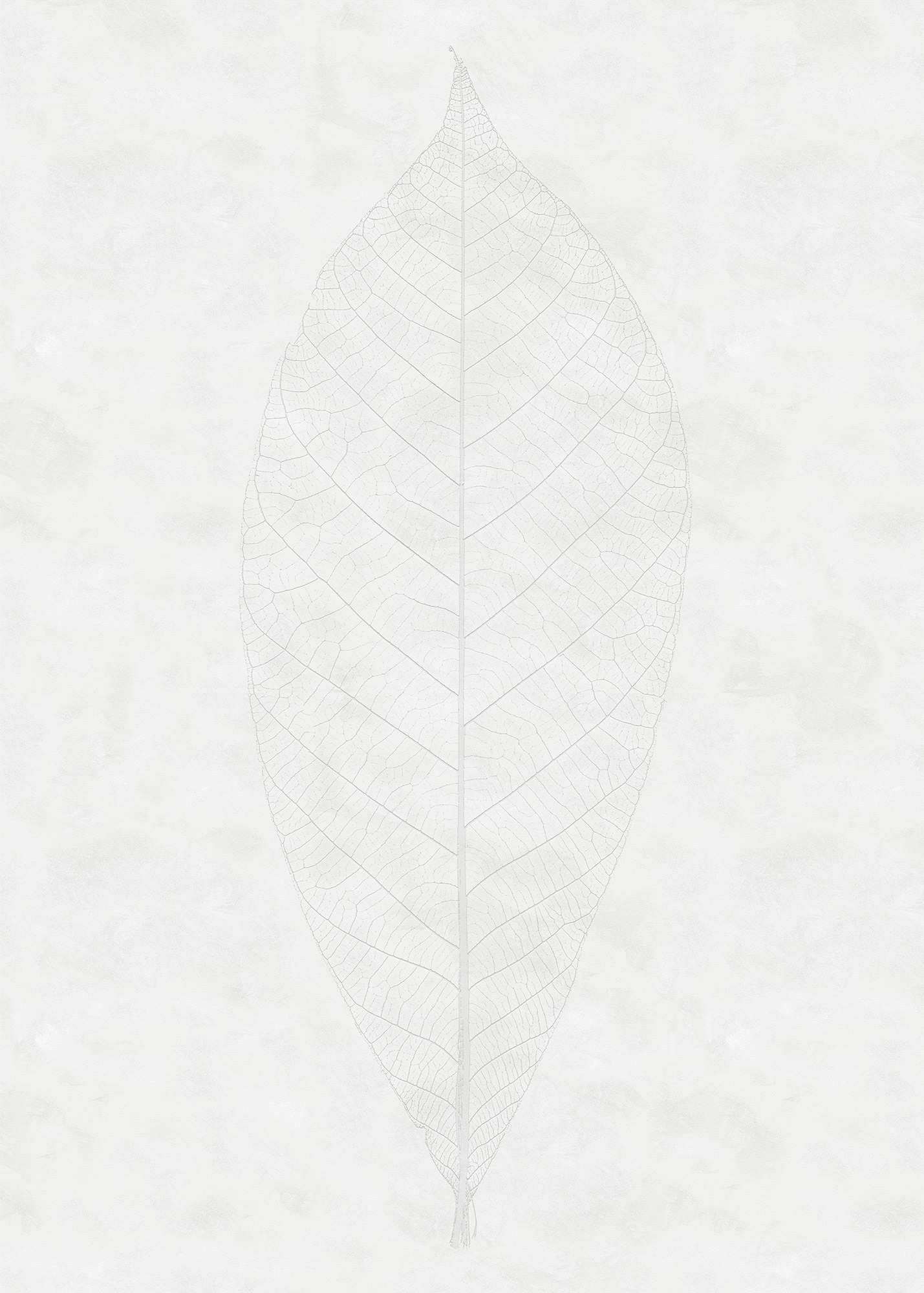 Komar Vliestapete »Digitaldruck Vlies - Decent Leaf - Grösse 200 x 280 cm«, bedruckt, Wohnzimmer, Schlafzimmer Komar Vliestapete »Digitaldruck Vlies - Decent Leaf - Grösse 200 x 280 cm«, bedruckt, Wohnzimmer, Schlafzimmer von Komar