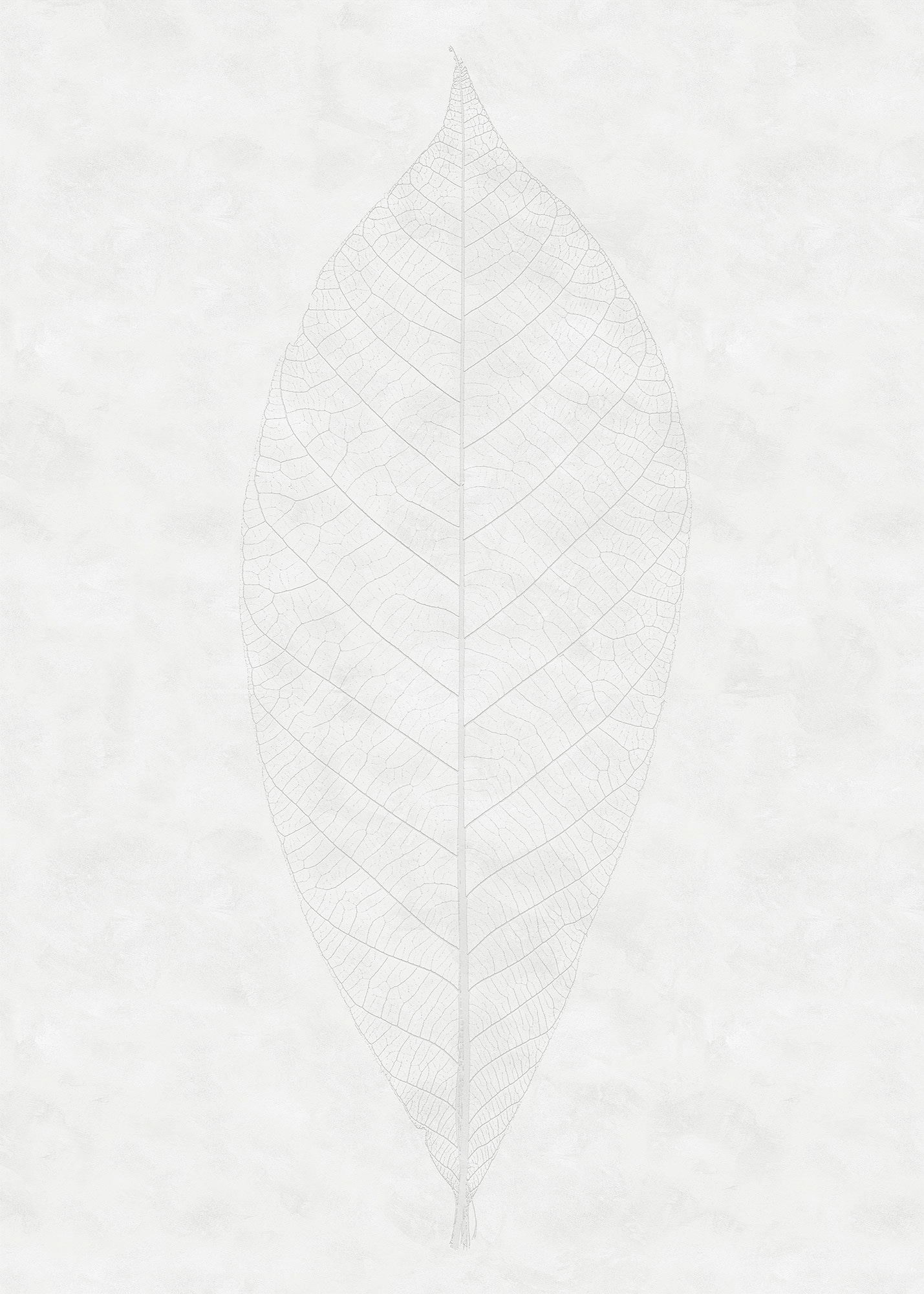 Komar Vliestapete »Digitaldruck Vlies - Decent Leaf - Grösse 200 x 280 cm«, bedruckt, Wohnzimmer, Schlafzimmer von Komar