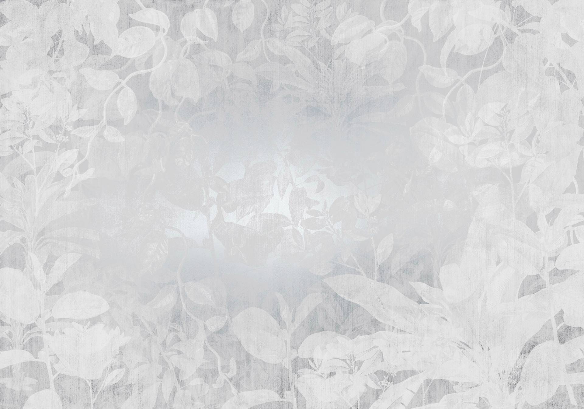 Komar Vliestapete »Digitaldruck Vlies - Flora - Grösse 400 x 280 cm«, bedruckt, Wohnzimmer, Schlafzimmer Komar Vliestapete »Digitaldruck Vlies - Flora - Grösse 400 x 280 cm«, bedruckt, Wohnzimmer, Schlafzimmer von Komar