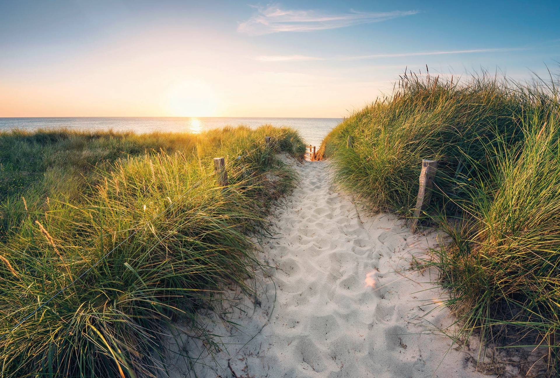 Komar Fototapete »Vlies - Way to the Beach - Grösse 368 x 248 cm«, bedruckt, Wohnzimmer, Schlafzimmer von Komar