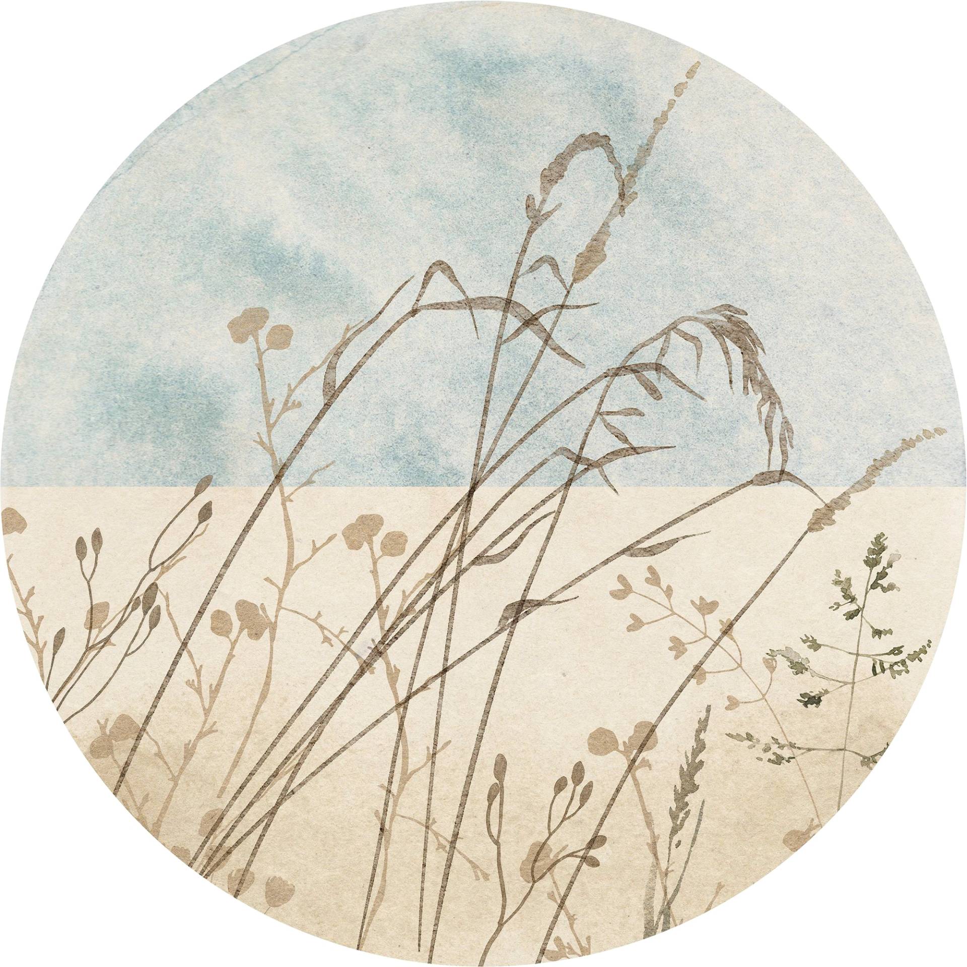 Komar Fototapete »Vlies selbstklebend - Gazon - Grösse 125 x 125 cm«, bedruckt, Wohnzimmer, Schlafzimmer Komar Fototapete »Vlies selbstklebend - Gazon - Grösse 125 x 125 cm«, bedruckt, Wohnzimmer, Schlafzimmer von Komar