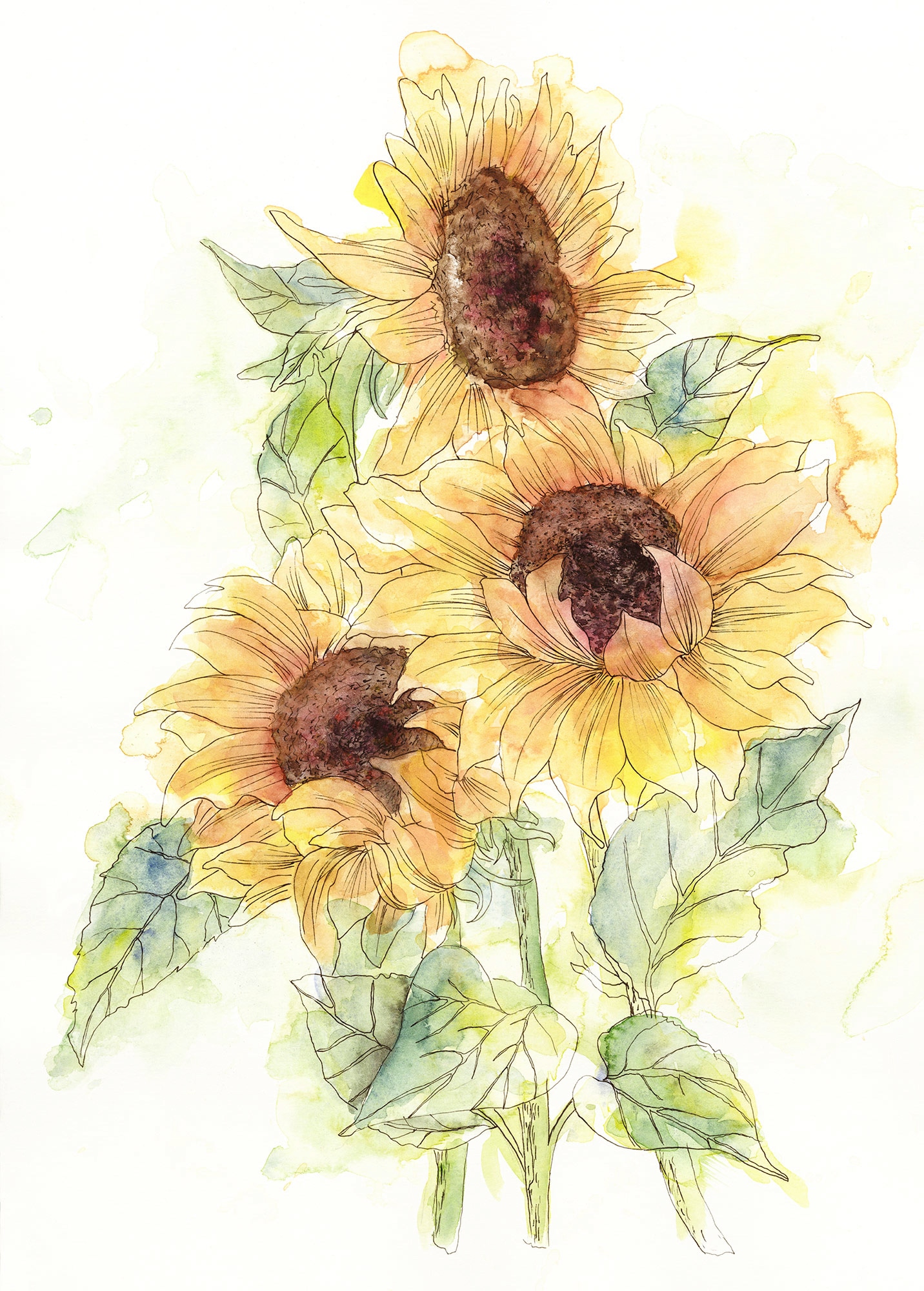 Komar Vliestapete »Digitaldruck Vlies - Girasol - Grösse 200 x 250 cm«, bedruckt, Wohnzimmer, Schlafzimmer Komar Vliestapete »Digitaldruck Vlies - Girasol - Grösse 200 x 250 cm«, bedruckt, Wohnzimmer, Schlafzimmer von Komar