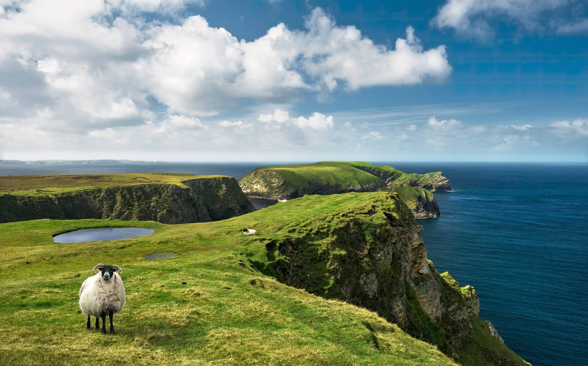 Komar Vliestapete »Green Ireland«, 450x280 cm (Breite x Höhe), Wohnzimmer, Schlafzimmer von Komar