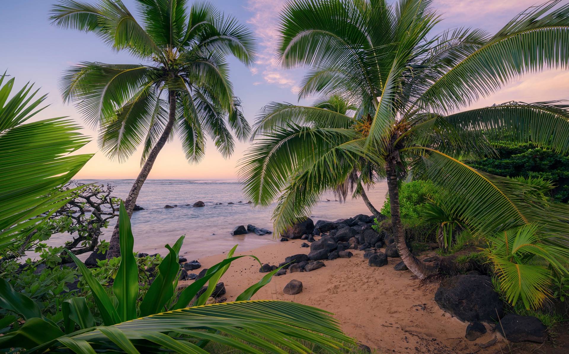 Komar Vliestapete »Digitaldruck Vlies - Hawaiian Dreams - Grösse 450 x 280 cm«, bedruckt, Wohnzimmer, Schlafzimmer von Komar