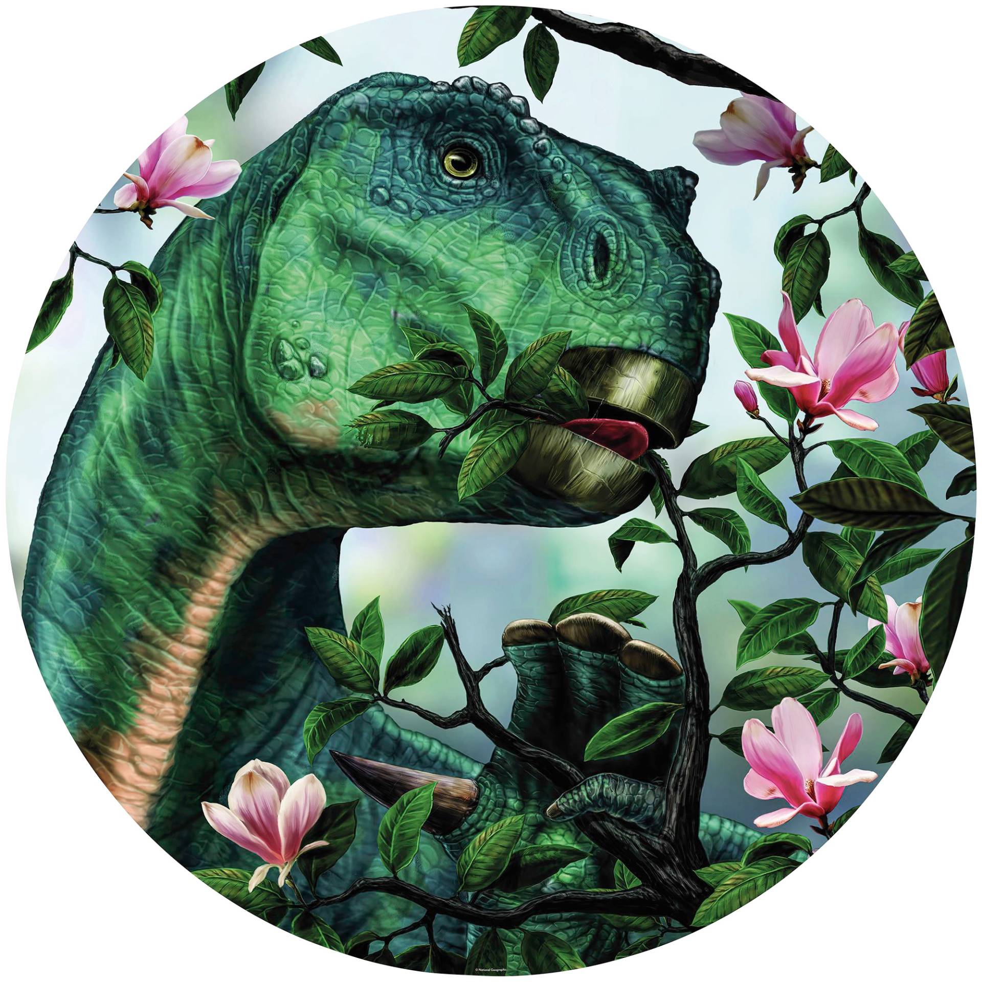 Komar Fototapete »Iguanodon eating Flowers«, bedruckt-Comic-Retro-mehrfarbig, BxH: 128x128 cm, selbstklebend von Komar