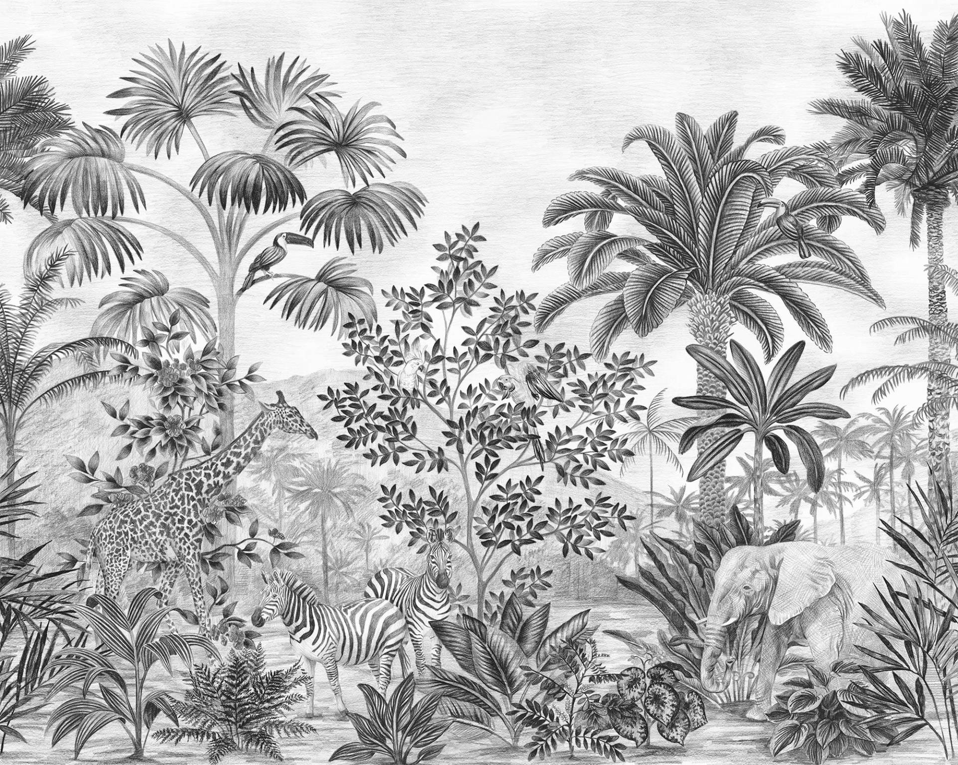 Komar Vliestapete »Digitaldruck Vlies - Jungle Evolution - Grösse 350 x 280 cm«, bedruckt, Kinderzimmer Komar Vliestapete »Digitaldruck Vlies - Jungle Evolution - Grösse 350 x 280 cm«, bedruckt, Kinderzimmer von Komar