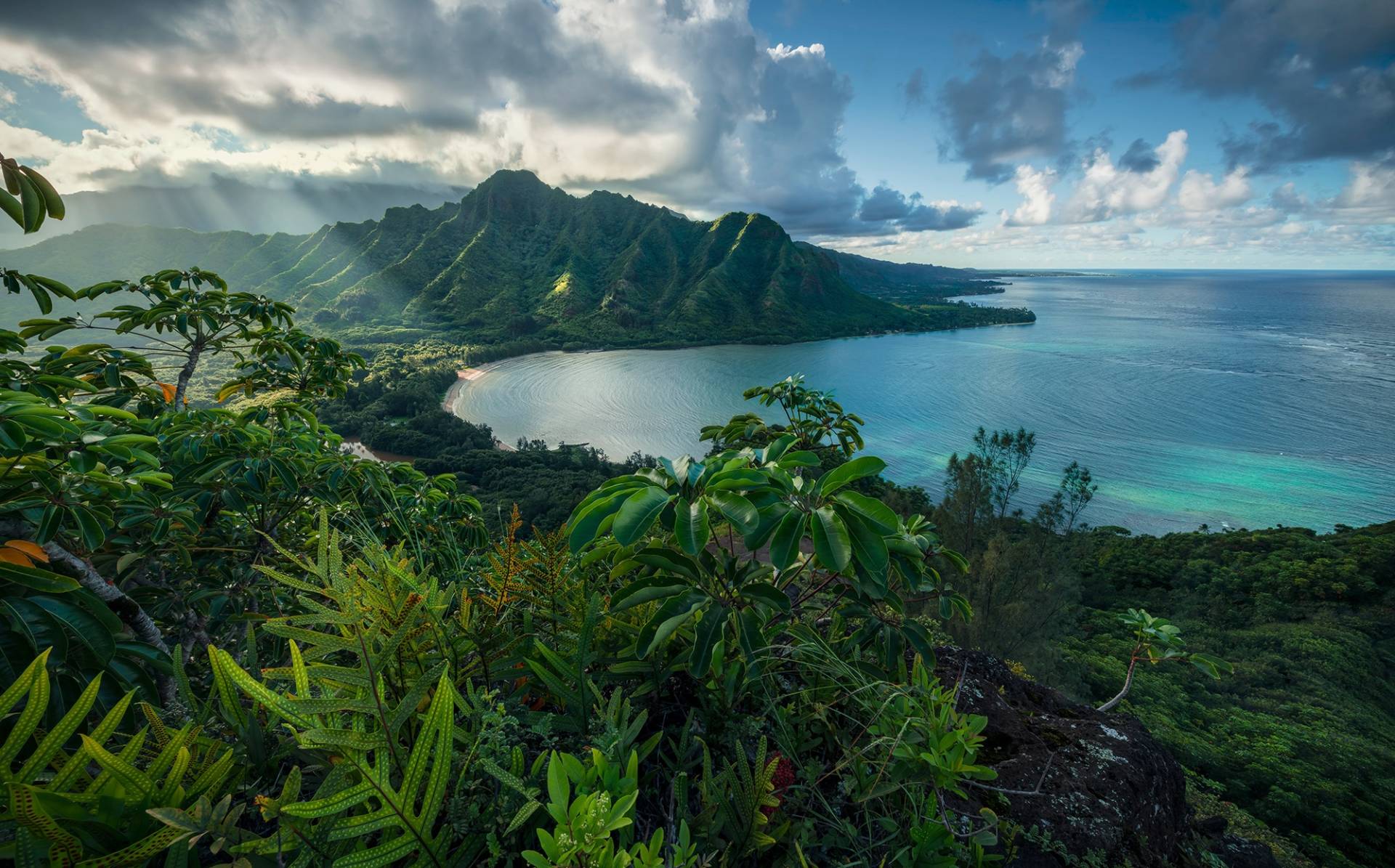 Komar Vliestapete »Jurassic Island«, 450x280 cm (Breite x Höhe), Wohnzimmer, Schlafzimmer von Komar