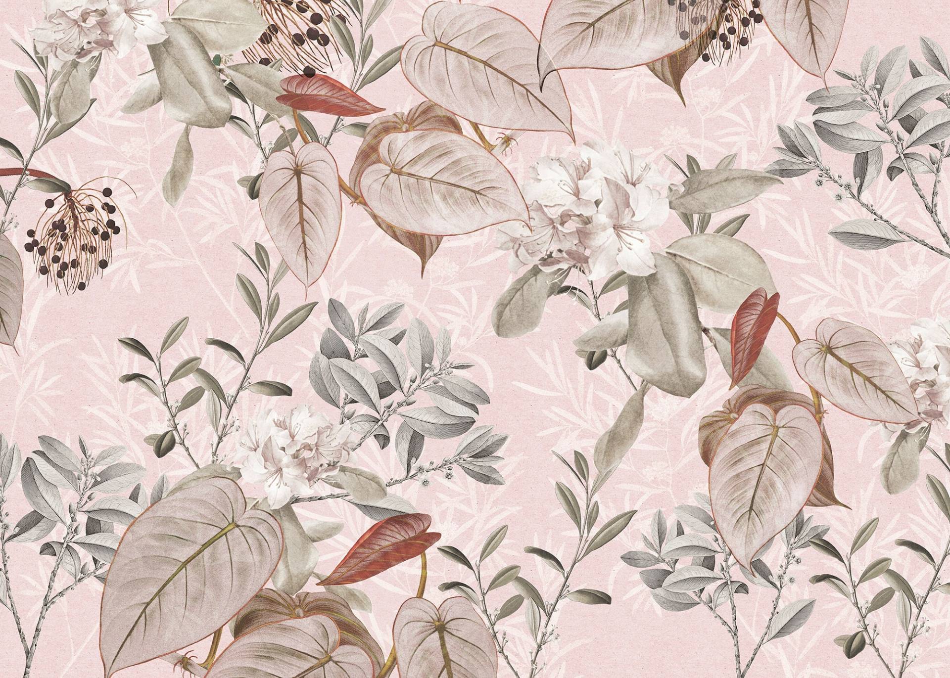 Komar Vliestapete »Digitaldruck Vlies - Kalina - Grösse 350 x 250 cm«, bedruckt, Wohnzimmer, Schlafzimmer Komar Vliestapete »Digitaldruck Vlies - Kalina - Grösse 350 x 250 cm«, bedruckt, Wohnzimmer, Schlafzimmer von Komar