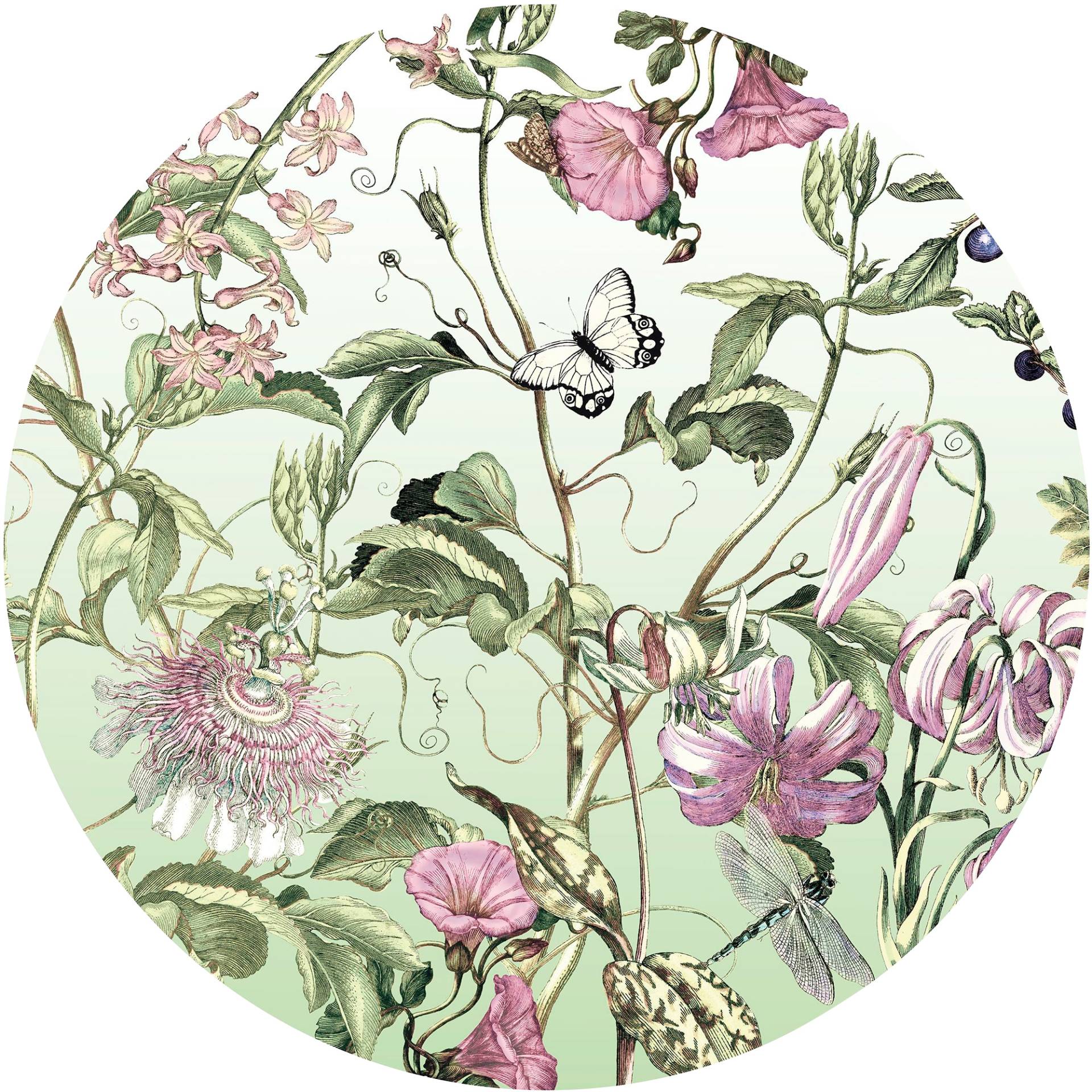Komar Fototapete »Vlies selbstklebend - Louloudi - Grösse 125 x 125 cm«, bedruckt, Wohnzimmer, Schlafzimmer Komar Fototapete »Vlies selbstklebend - Louloudi - Grösse 125 x 125 cm«, bedruckt, Wohnzimmer, Schlafzimmer von Komar