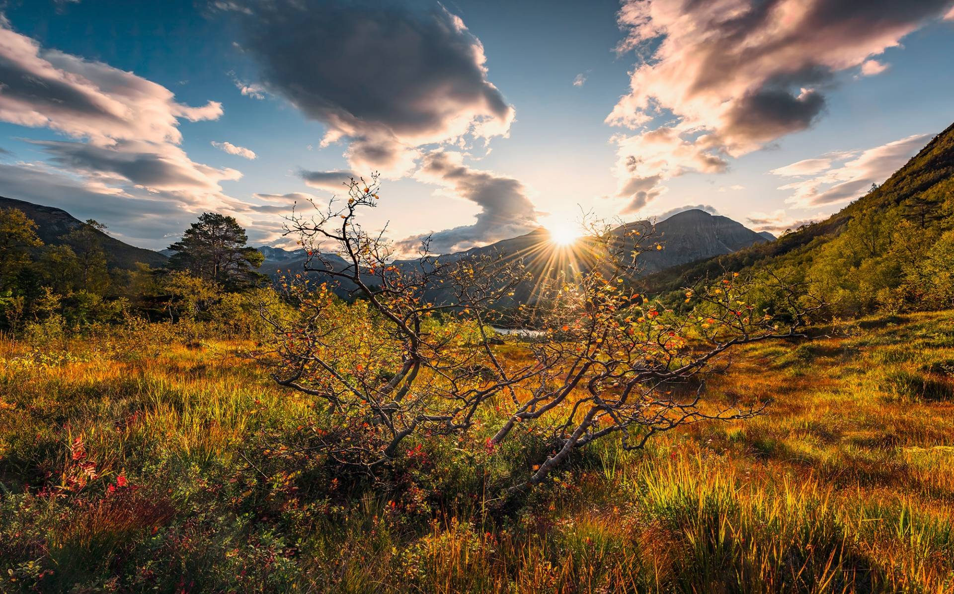 Komar Vliestapete »Digitaldruck Vlies - Norwegische Herbstwelten - Grösse 450 x 280 cm«, bedruckt, Wohnzimmer, Schlafzimmer von Komar