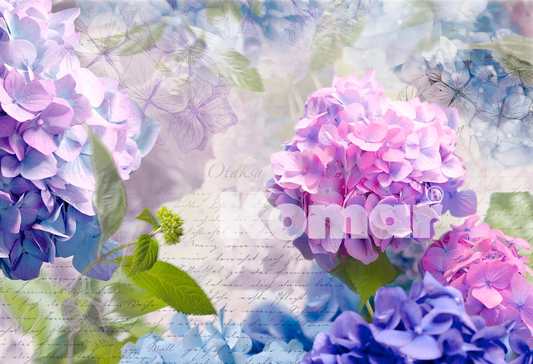 Komar Fototapete »Otaksa - Grösse 368 x 254 cm«, bedruckt, Wohnzimmer, Schlafzimmer Komar Fototapete »Otaksa - Grösse 368 x 254 cm«, bedruckt, Wohnzimmer, Schlafzimmer von Komar
