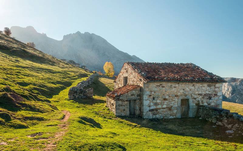 Komar Vliestapete »Picos de Europe Alm«, 450x280 cm (Breite x Höhe), Wohnzimmer, Schlafzimmer von Komar