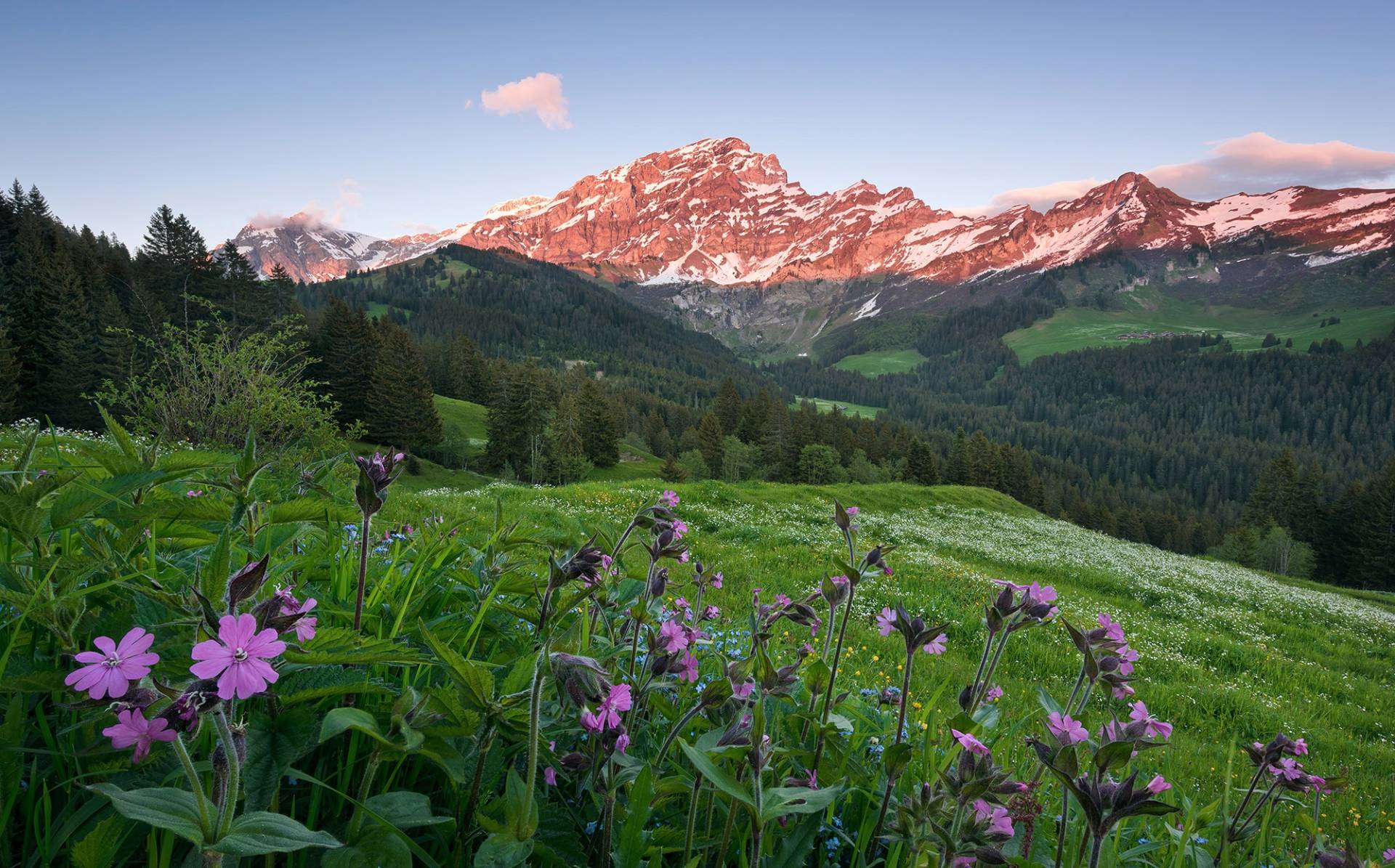 Komar Vliestapete »Digitaldruck Vlies - Picturesque Switzerland - Grösse 450 x 280 cm«, bedruckt, Wohnzimmer, Schlafzimmer von Komar