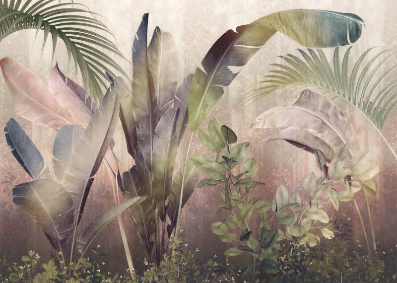 Komar Vliestapete »Rainforest Mist«, 350x250 cm (Breite x Höhe) von Komar