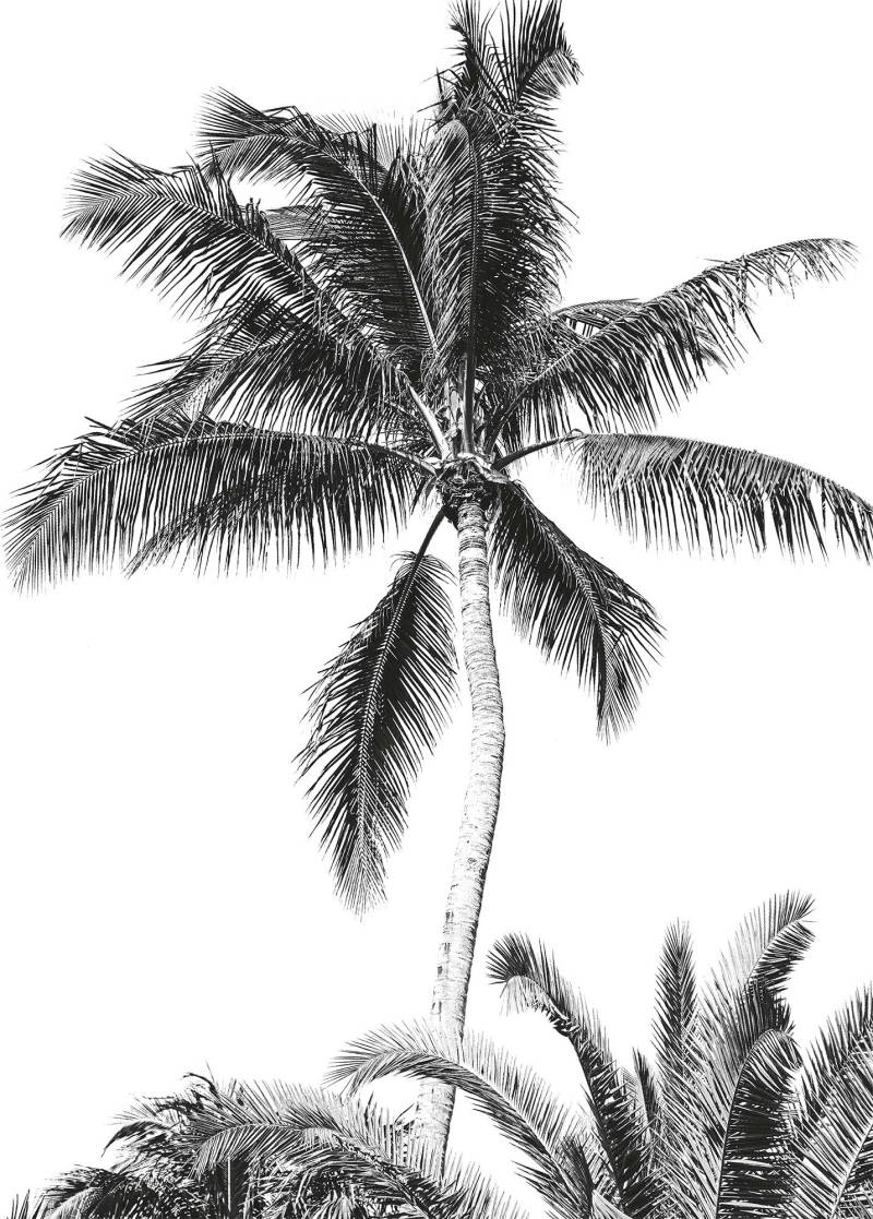 Komar Vliestapete »Retro Palm«, 200x280 cm (Breite x Höhe) von Komar