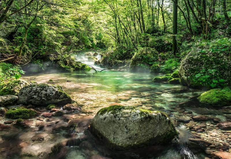 Komar Fototapete »Riverbed«, 368x254 cm (Breite x Höhe), inklusive Kleister von Komar