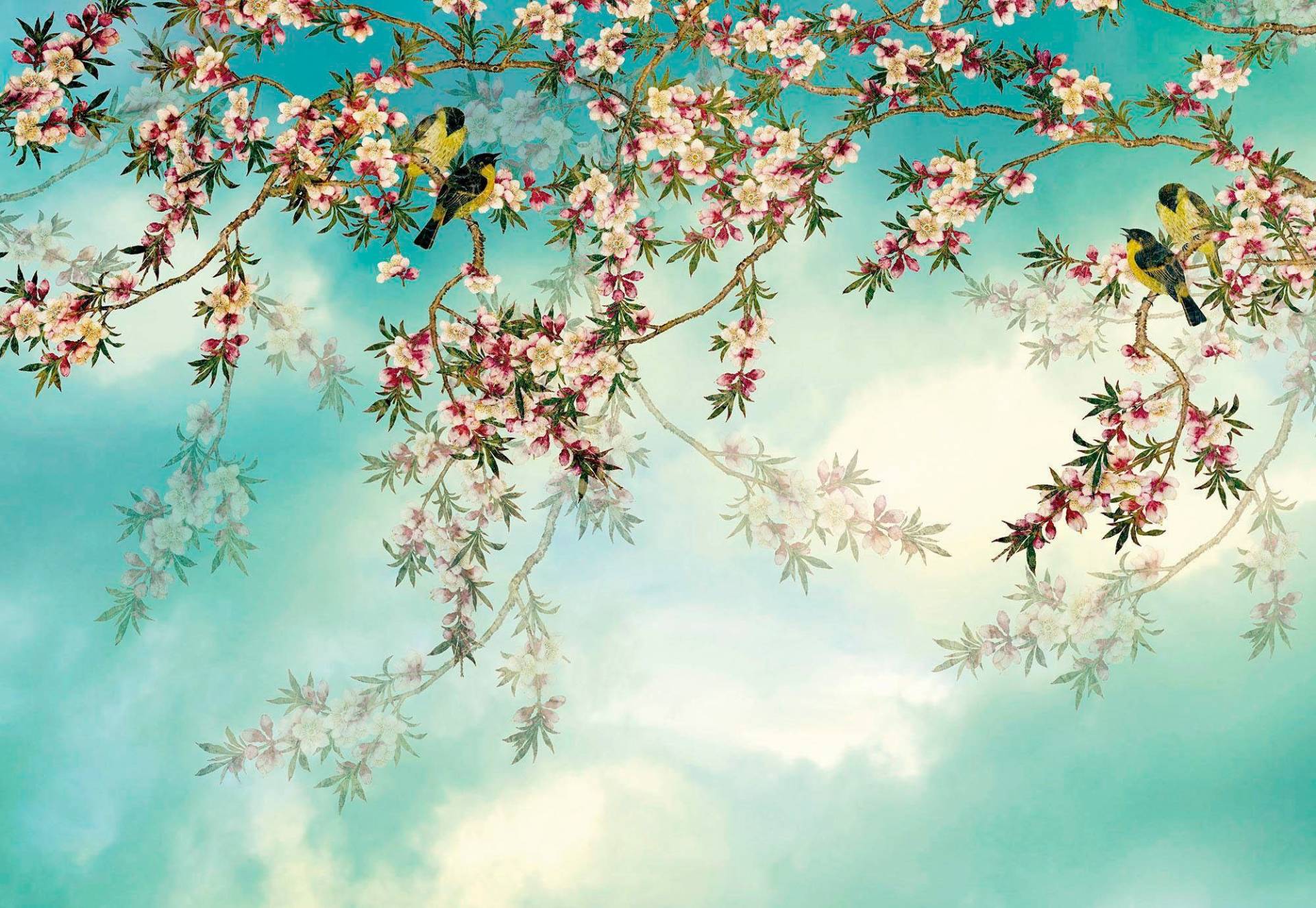 Komar Fototapete »Sakura - Grösse 368 x 254 cm«, bedruckt, Wohnzimmer, Schlafzimmer Komar Fototapete »Sakura - Grösse 368 x 254 cm«, bedruckt, Wohnzimmer, Schlafzimmer von Komar