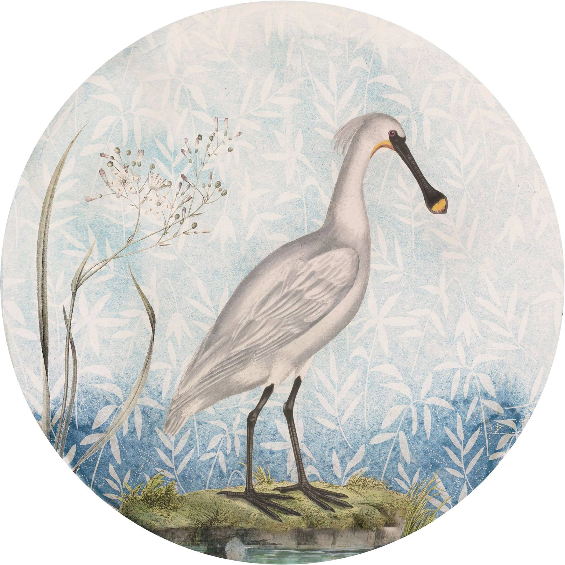 Komar Fototapete »Vlies selbstklebend - Spoonbill - Grösse 125 x 125 cm«, bedruckt, Wohnzimmer, Schlafzimmer Komar Fototapete »Vlies selbstklebend - Spoonbill - Grösse 125 x 125 cm«, bedruckt, Wohnzimmer, Schlafzimmer von Komar