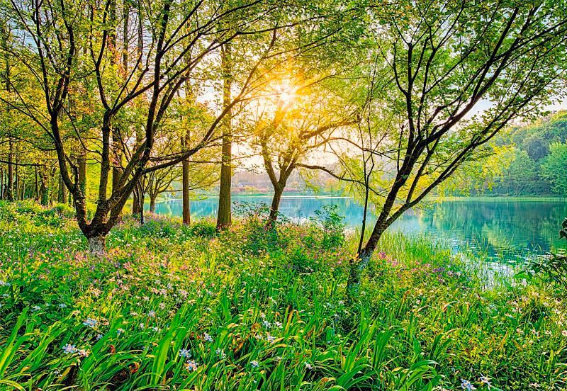 Komar Fototapete »Spring Lake - Grösse 368 x 254 cm«, bedruckt, Wohnzimmer, Schlafzimmer Komar Fototapete »Spring Lake - Grösse 368 x 254 cm«, bedruckt, Wohnzimmer, Schlafzimmer von Komar