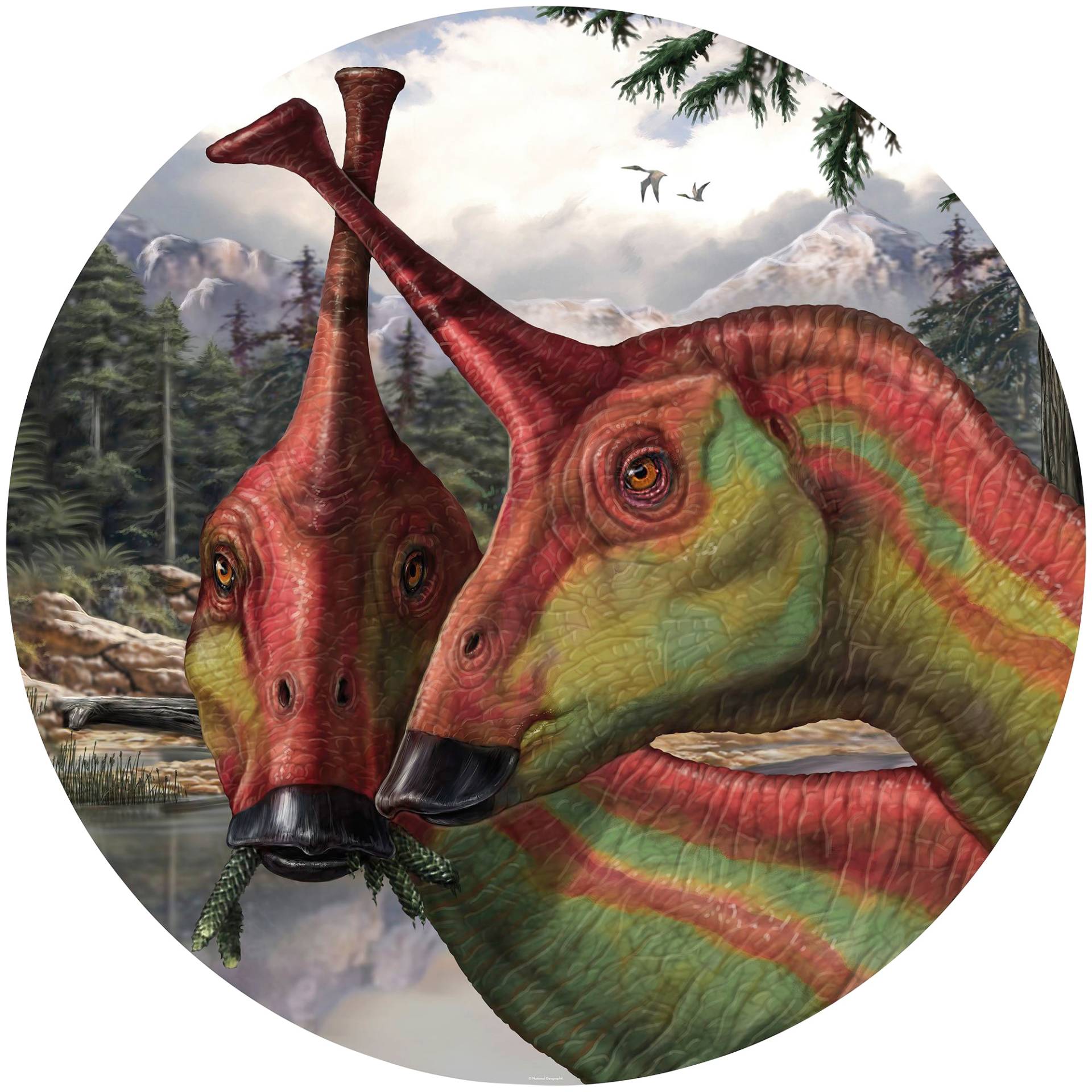 Komar Fototapete »Tsintaosaurus«, bedruckt-Comic-Retro-mehrfarbig, BxH: 128x128 cm, selbstklebend von Komar