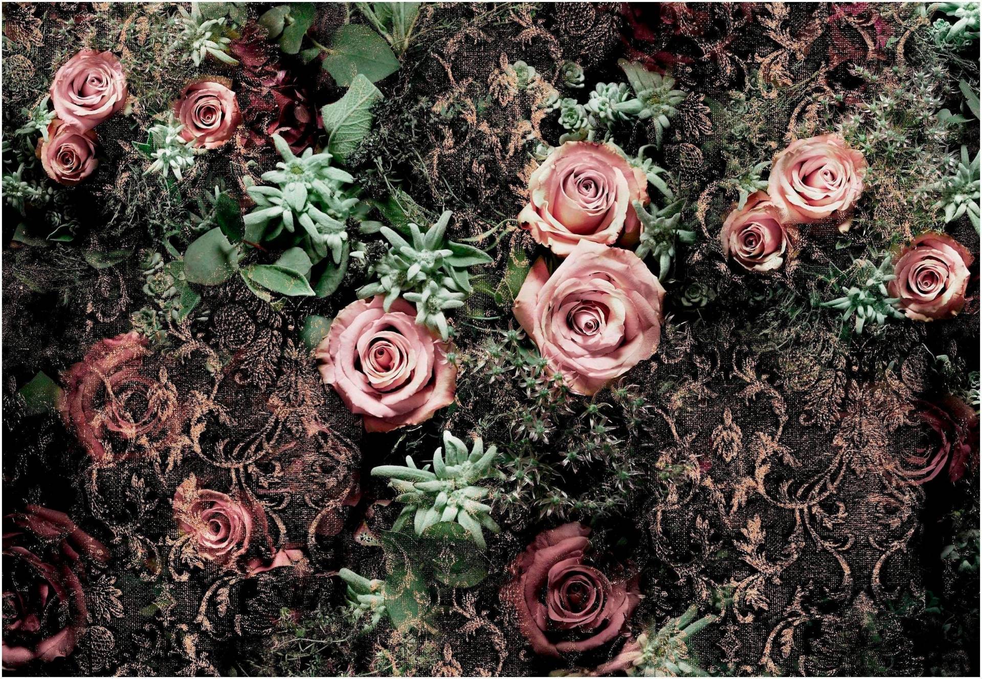 Komar Fototapete »Velvet - Grösse 368 x 254 cm«, bedruckt, Wohnzimmer, Schlafzimmer Komar Fototapete »Velvet - Grösse 368 x 254 cm«, bedruckt, Wohnzimmer, Schlafzimmer von Komar