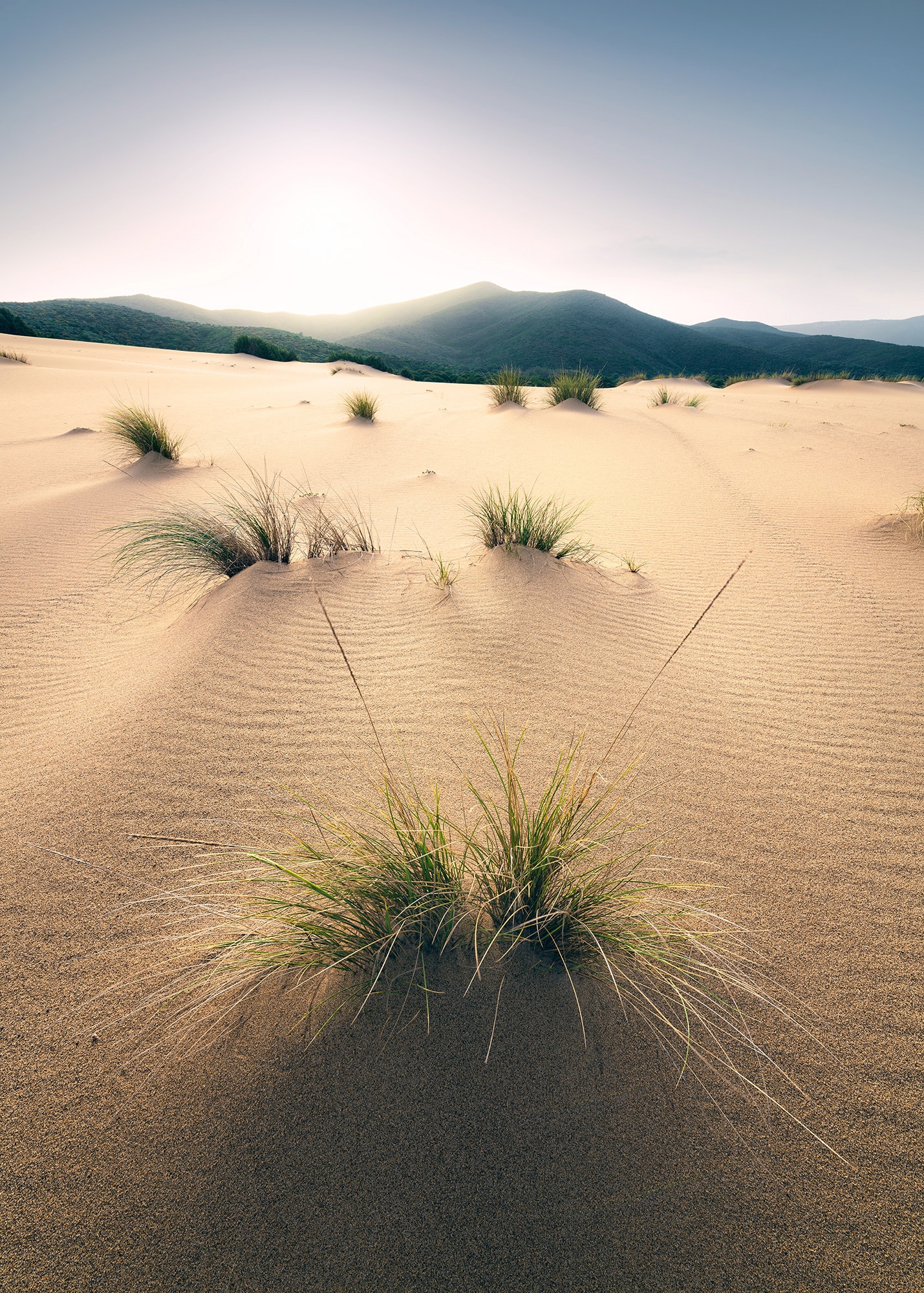 Komar Vliestapete »Vivid Dunes«, 200x280 cm (Breite x Höhe), Wohnzimmer, Schlafzimmer von Komar