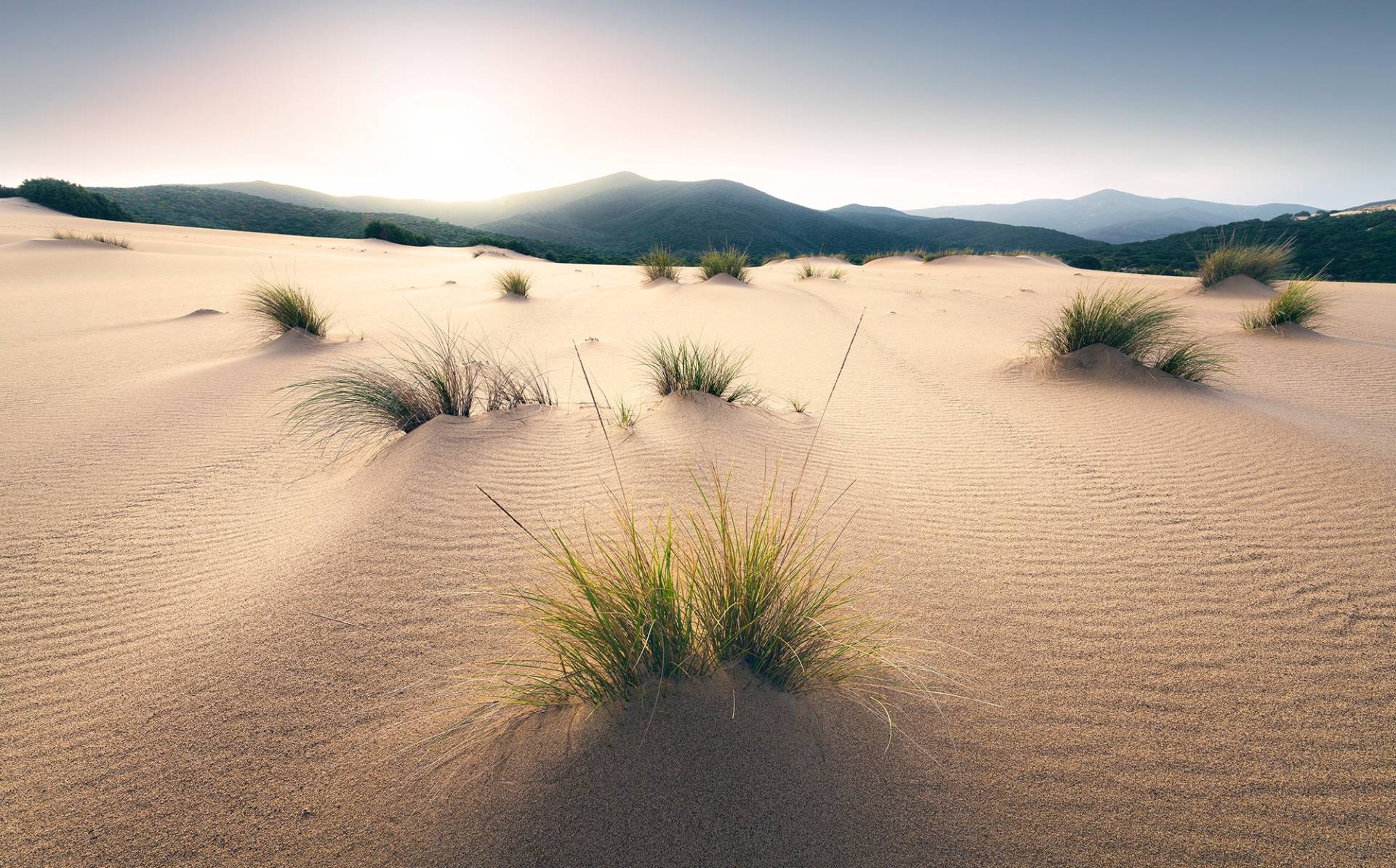 Komar Vliestapete »Digitaldruck Vlies - Vivid Dunes - Grösse 450 x 280 cm«, bedruckt, Wohnzimmer, Schlafzimmer von Komar