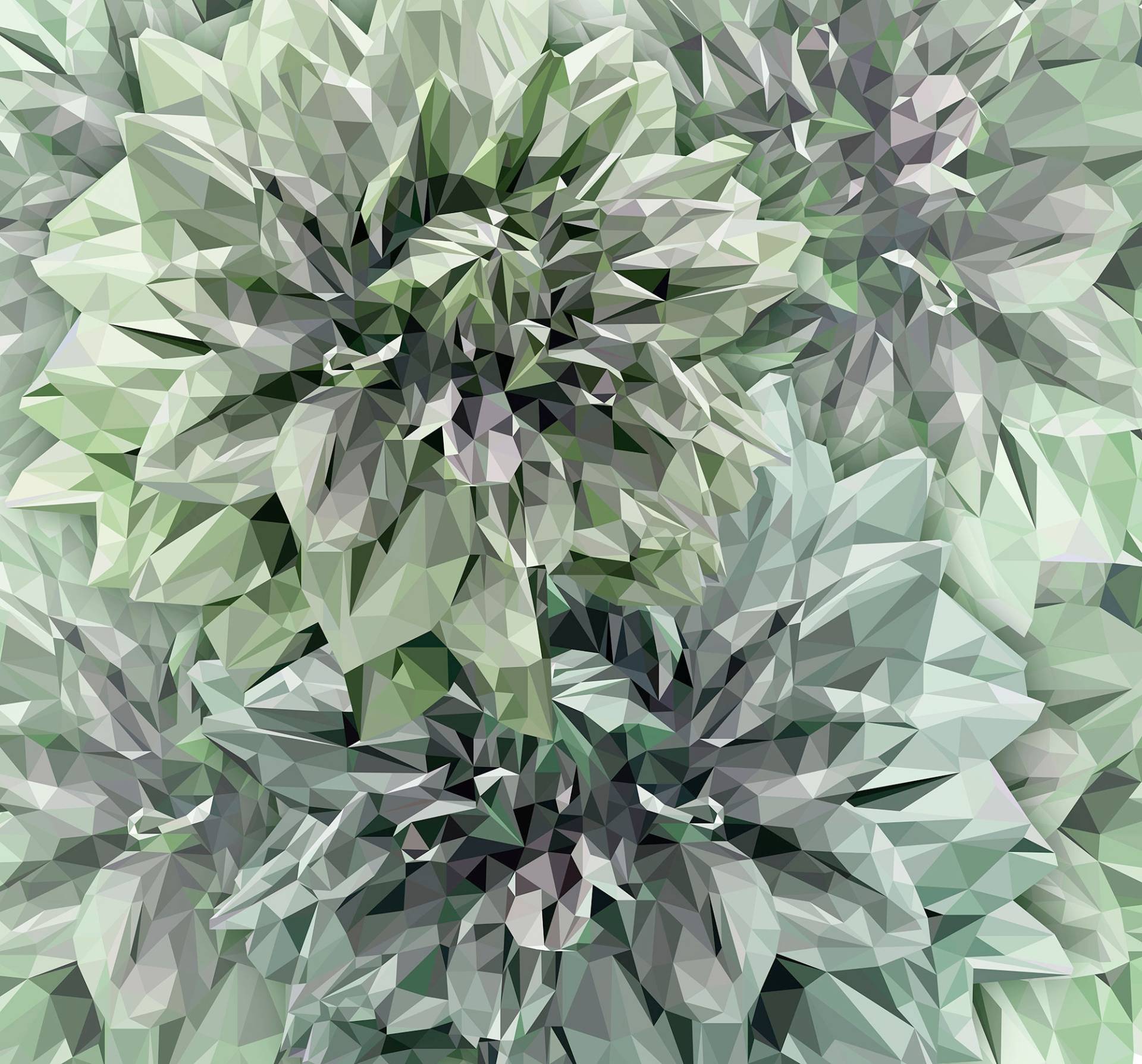 Komar Vliestapete »Emerald Flowers«, 300x280 cm (Breite x Höhe) von Komar