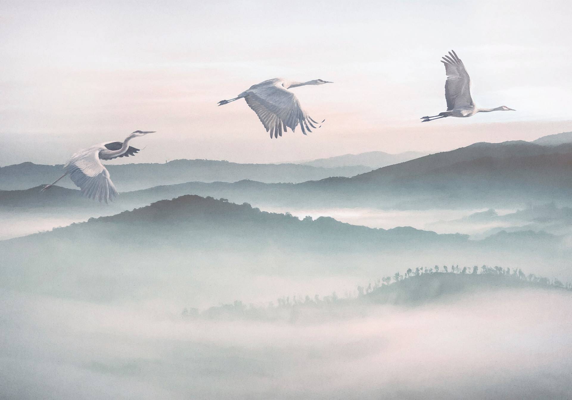 Komar Vliestapete »Digitaldruck Vlies - Mystic Cranes - Grösse 400 x 280 cm«, bedruckt, Wohnzimmer, Schlafzimmer von Komar