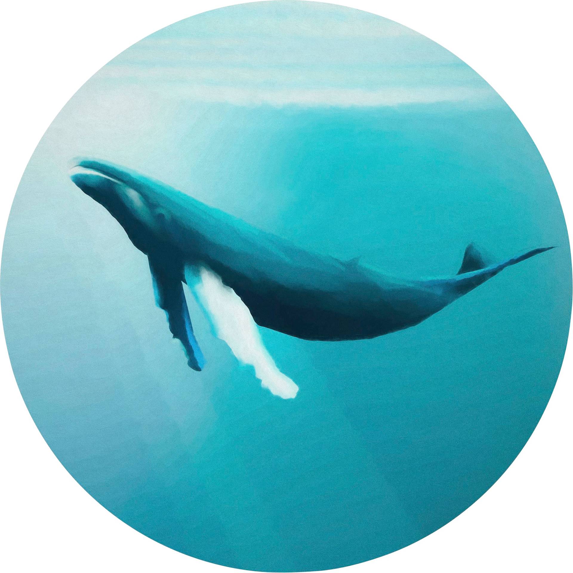 Komar Fototapete »Vlies selbstklebend - Whale Watching - Grösse 125 x 125 cm«, bedruckt, Wohnzimmer, Schlafzimmer Komar Fototapete »Vlies selbstklebend - Whale Watching - Grösse 125 x 125 cm«, bedruckt, Wohnzimmer, Schlafzimmer von Komar
