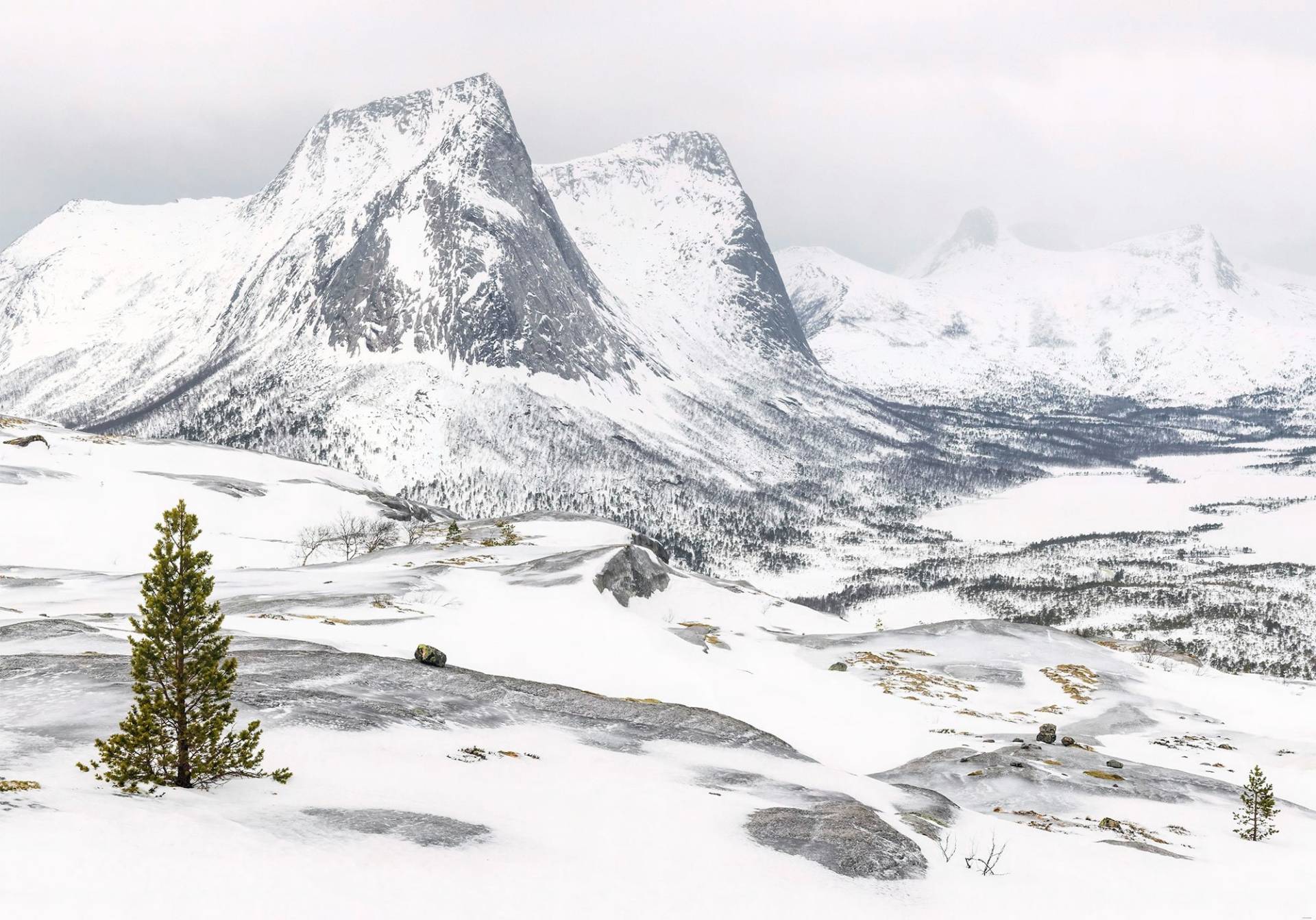 Komar Fototapete »White Enchanted Mountains«, bedruckt-Comic-Retro-mehrfarbig, BxH: 400x280 cm von Komar