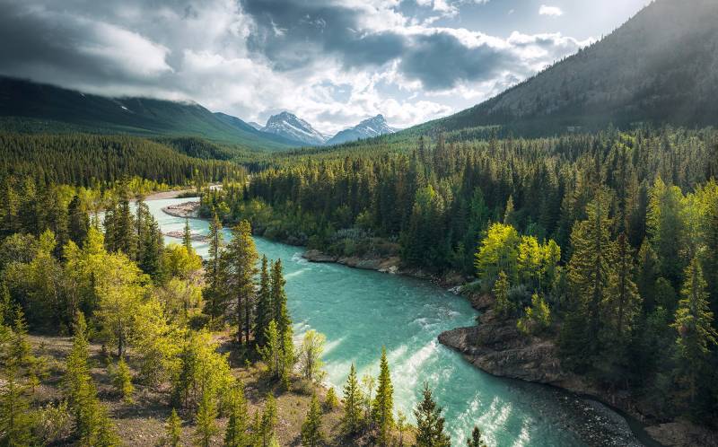 Komar Vliestapete »Wild Canada«, 450x280 cm (Breite x Höhe), Wohnzimmer, Schlafzimmer von Komar