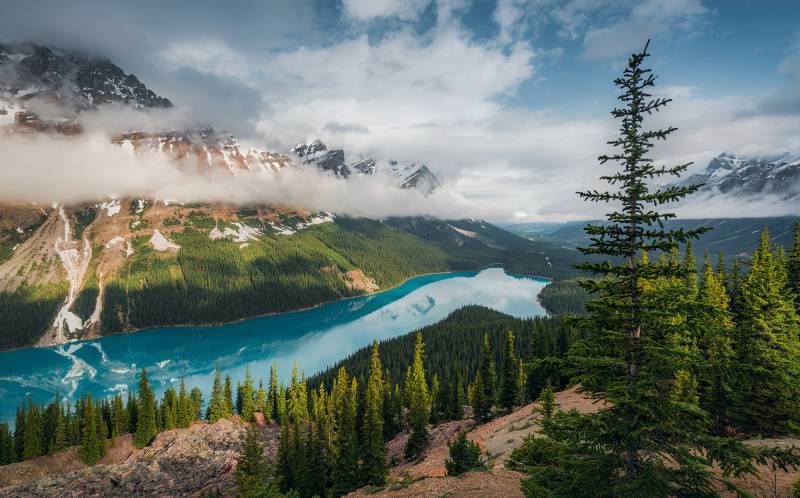 Komar Vliestapete »Wonderland Canada«, 450x280 cm (Breite x Höhe), Wohnzimmer, Schlafzimmer von Komar