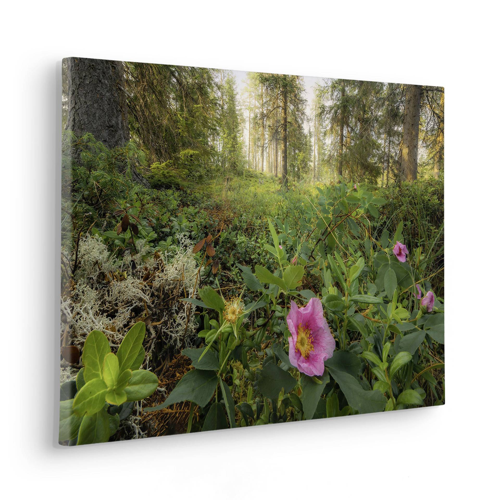 Komar Leinwandbild »Charming Woods - Grösse 60 x 40 cm«, Baum-Blätter-Natur-Berge-Blumen-Foto-Jahreszeiten-Landschaft-Meer-Strand-Palmen, (Packung, 1 St.), Keilrahmenbild mi Echtholzrahmen von Komar