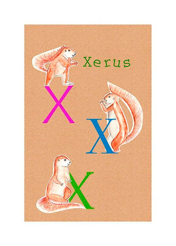 Komar Bild »ABC Animal X«, Buchstaben, (1 St.), Wandbild zur Dekoration - ohne Rahmen Komar Bild »ABC Animal X«, Buchstaben, (1 St.), Wandbild zur Dekoration - ohne Rahmen von Komar