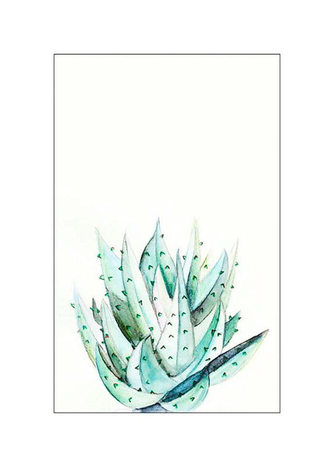 Komar Bild »Aloe Watercolor«, Pflanzen-Blätter, (1 St.), Wandbild zur Dekoration - ohne Rahmen Komar Bild »Aloe Watercolor«, Pflanzen-Blätter, (1 St.), Wandbild zur Dekoration - ohne Rahmen von Komar