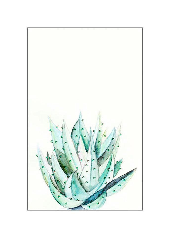 Komar Bild »Aloe Watercolor«, Pflanzen-Blätter, (1 St.), Wandbild zur Dekoration - ohne Rahmen von Komar