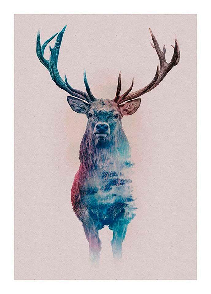 Komar Bild »Animals Forest Deer«, Tiere, (1 St.), Wandbild zur Dekoration - ohne Rahmen Komar Bild »Animals Forest Deer«, Tiere, (1 St.), Wandbild zur Dekoration - ohne Rahmen von Komar
