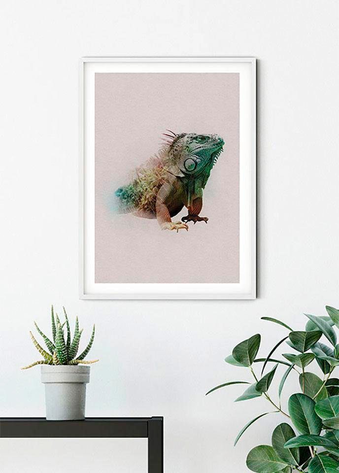 Komar Poster »Animals Paradise Iguana«, Tiere, (1 St.), Kinderzimmer, Schlafzimmer, Wohnzimmer von Komar