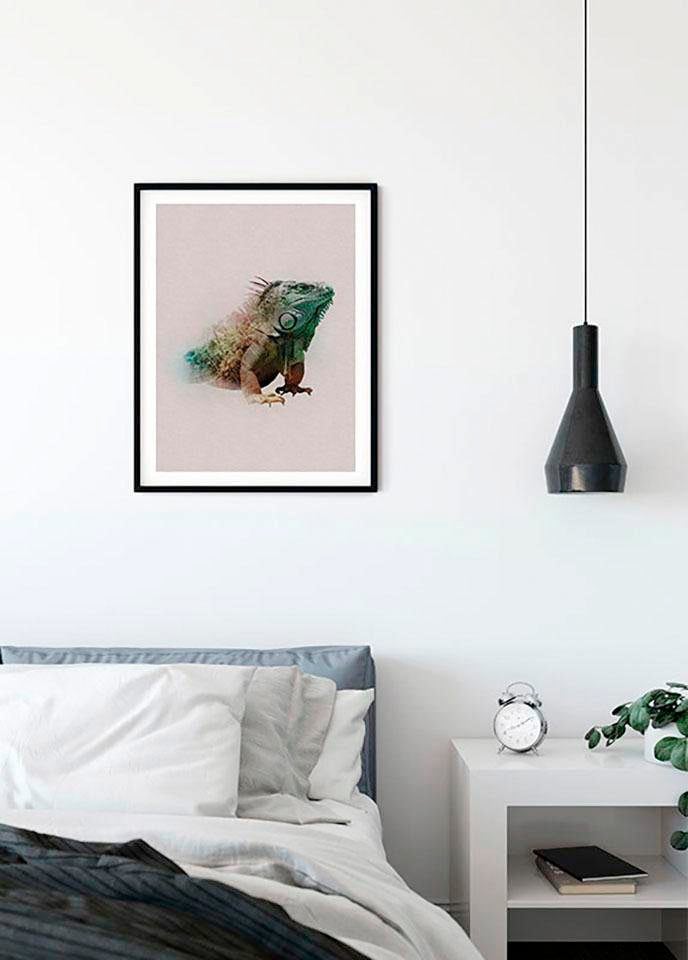 Komar Poster »Animals Paradise Iguana«, Tiere, (1 St.), Kinderzimmer, Schlafzimmer, Wohnzimmer von Komar