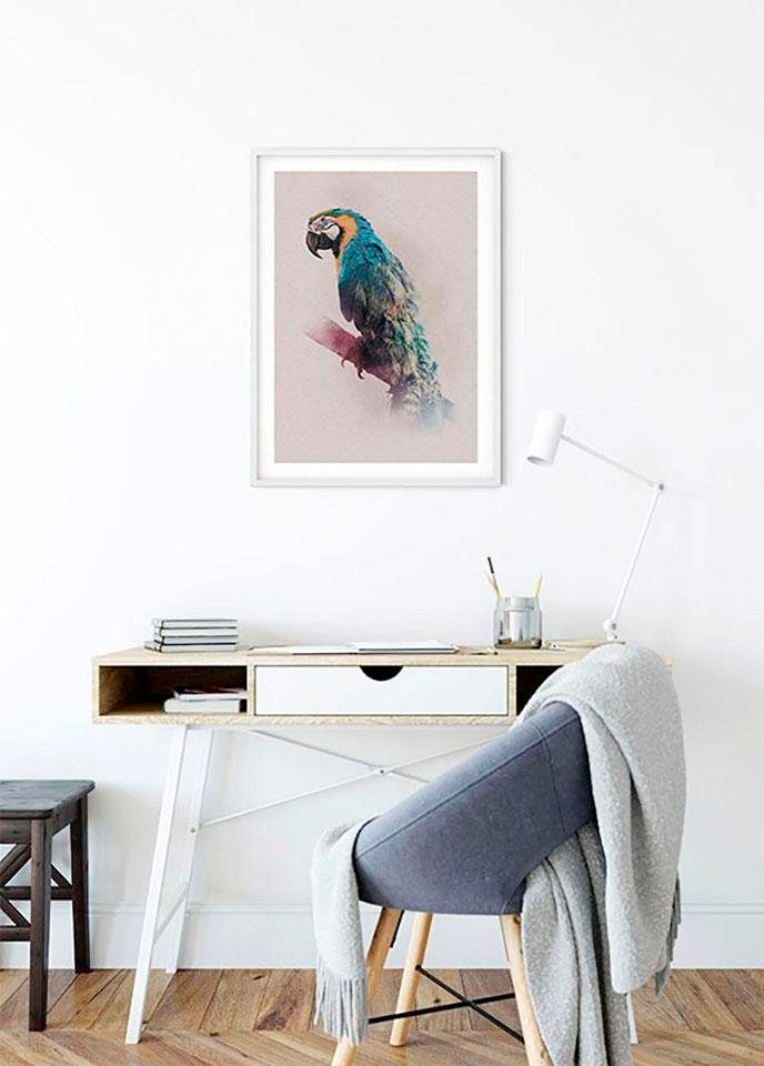 Komar Bild »Animals Paradise Parrot«, Tiere, (1 St.), Wandbild zur Dekoration - ohne Rahmen von Komar